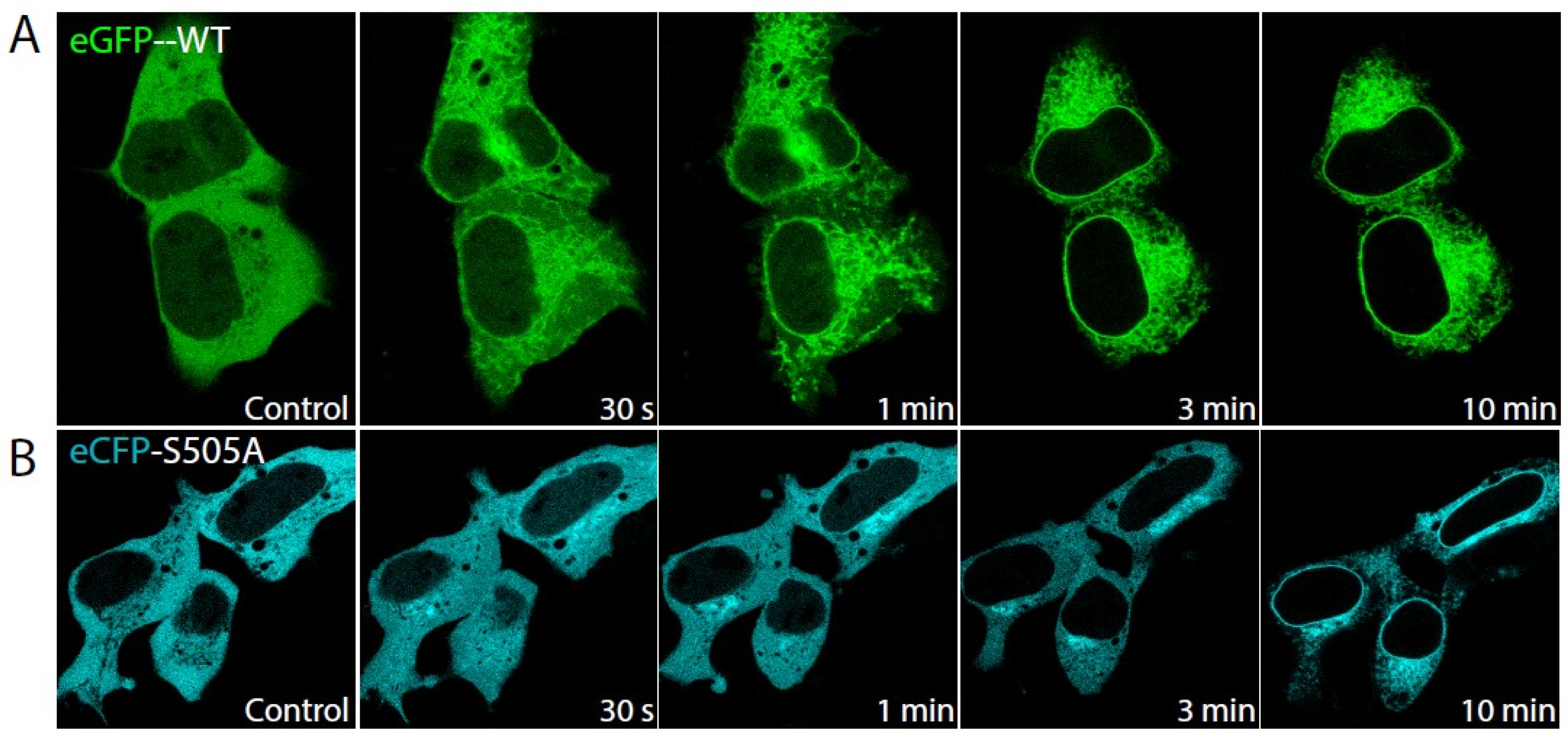 Molecules 27 02347 g002 550