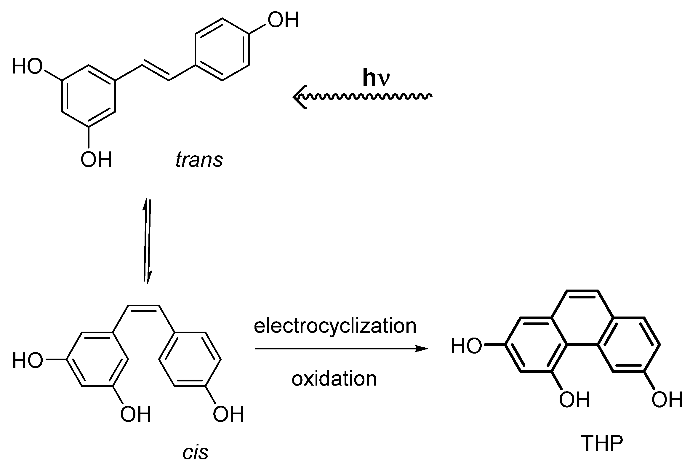 Molecules 27 02348 g001 550