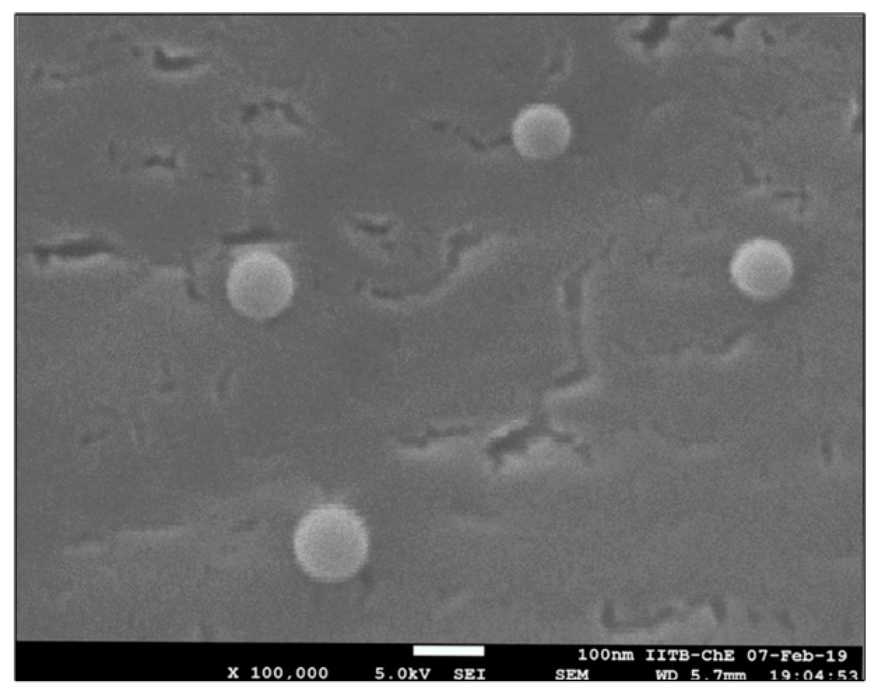 Molecules 27 02349 g002 550
