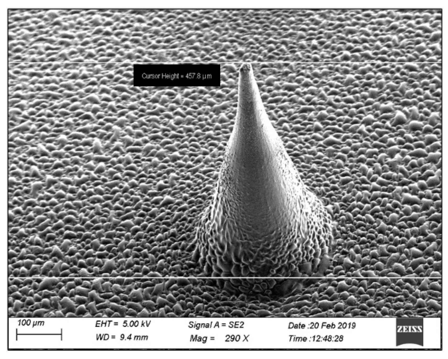 Molecules 27 02349 g003 550