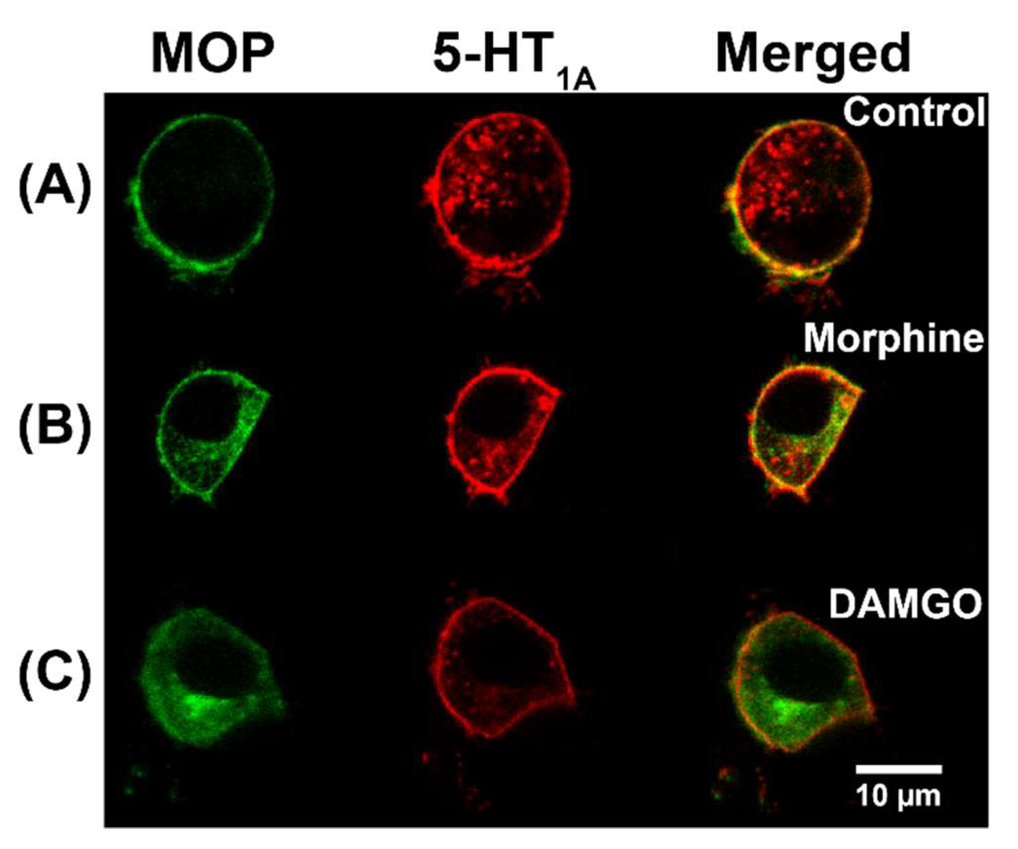 Molecules 27 02350 g002 550