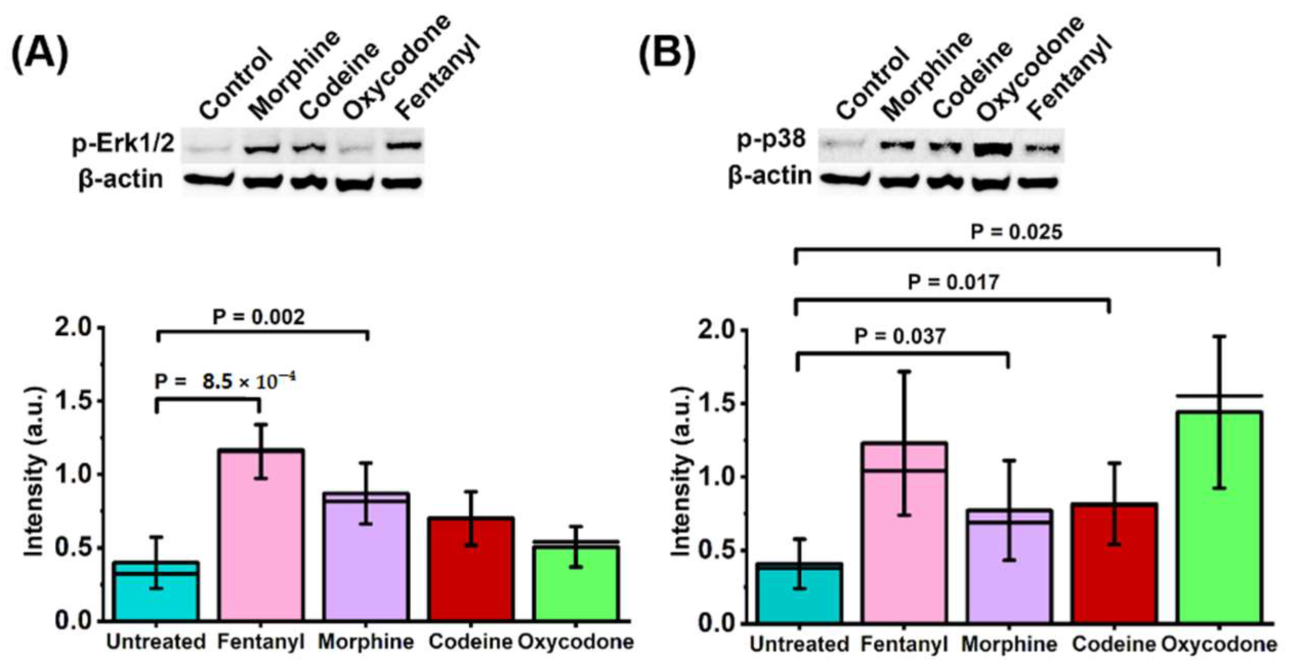 Molecules 27 02350 g005 550