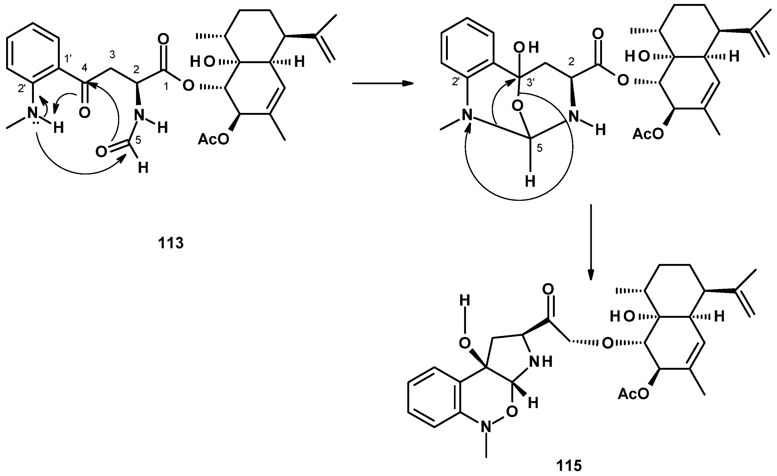Molecules 27 02351 g015