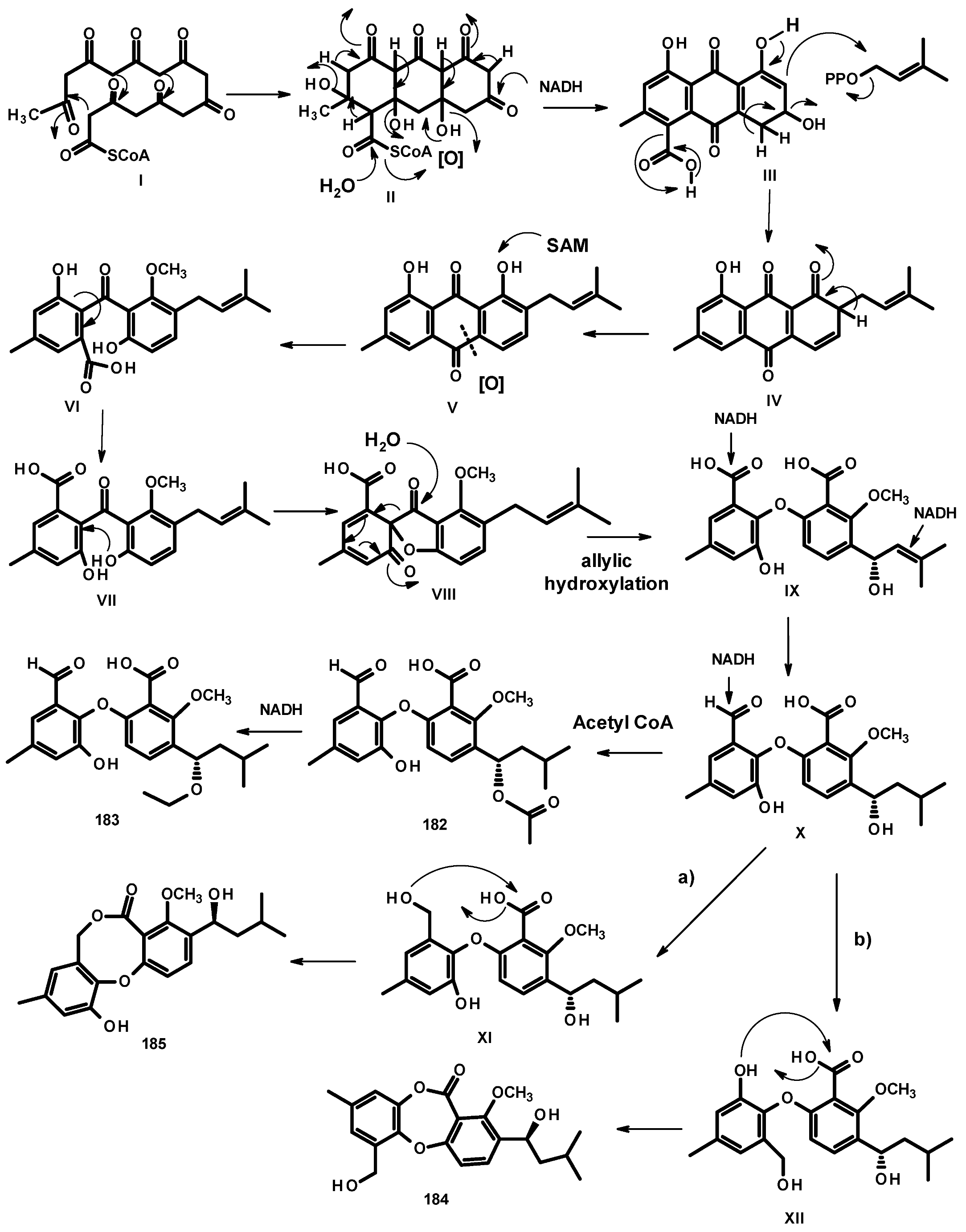 Molecules 27 02351 g025