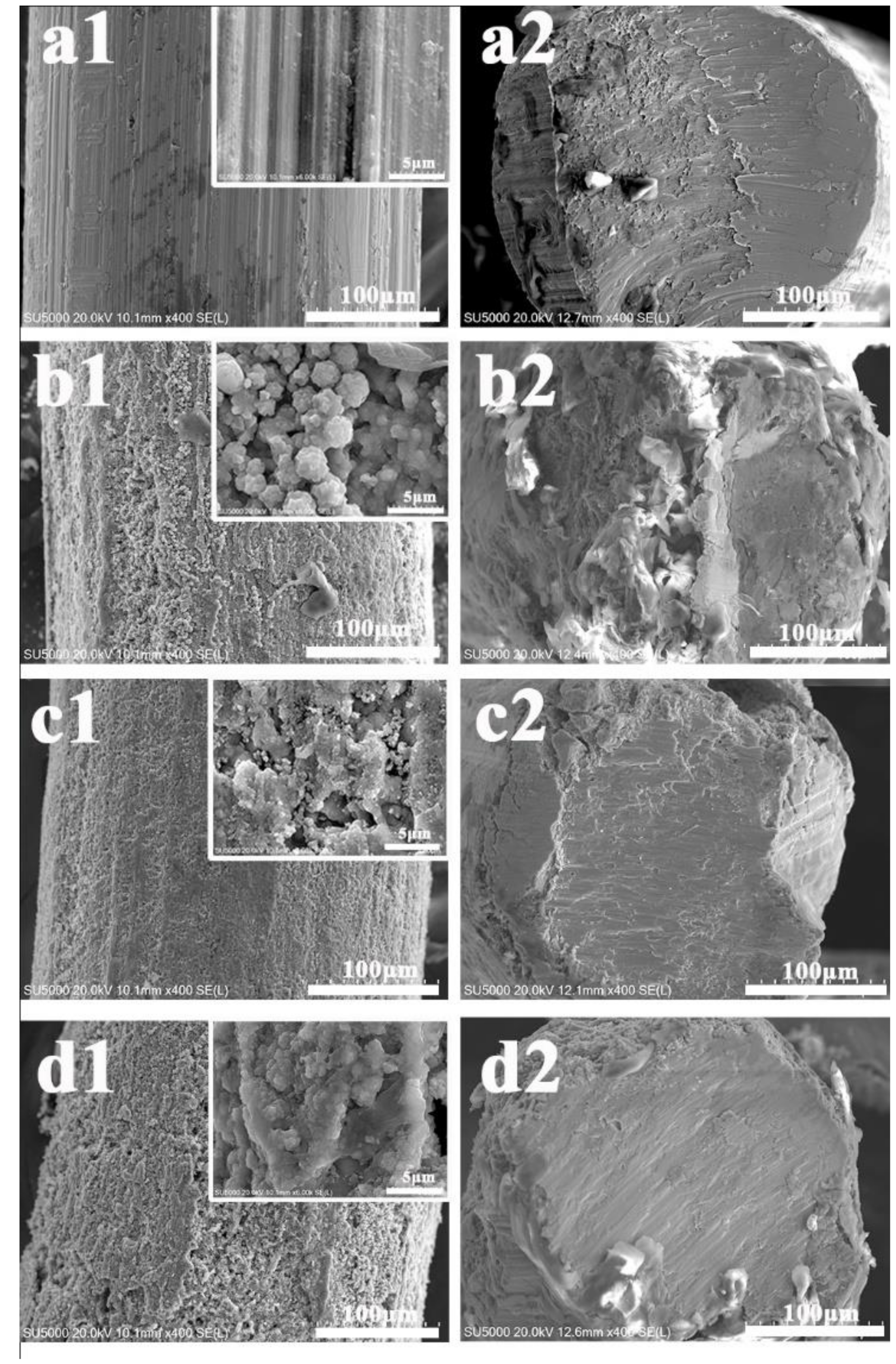 Molecules 27 02353 g001