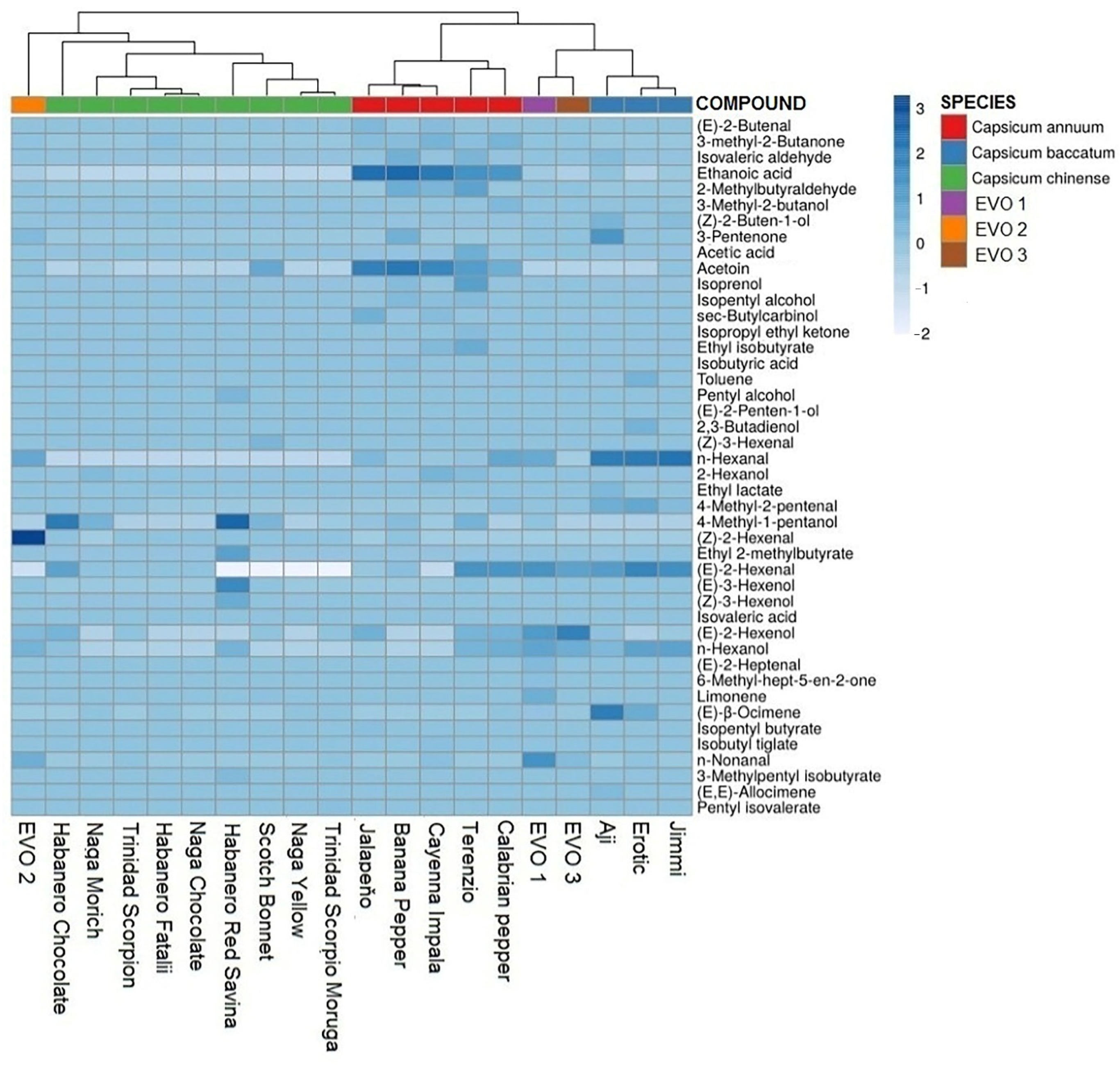 Molecules 27 02355 g006