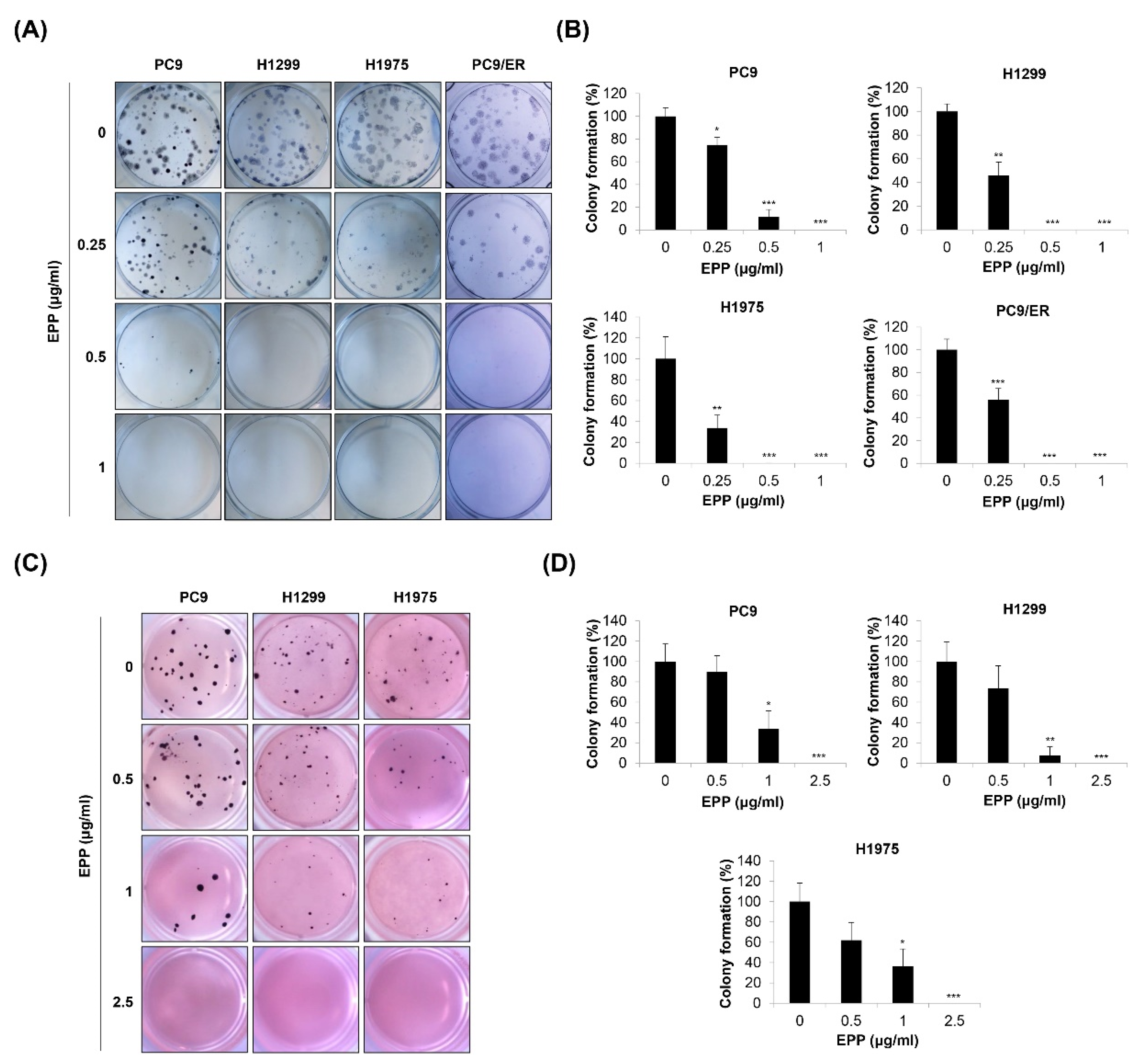 Molecules 27 02360 g002 550