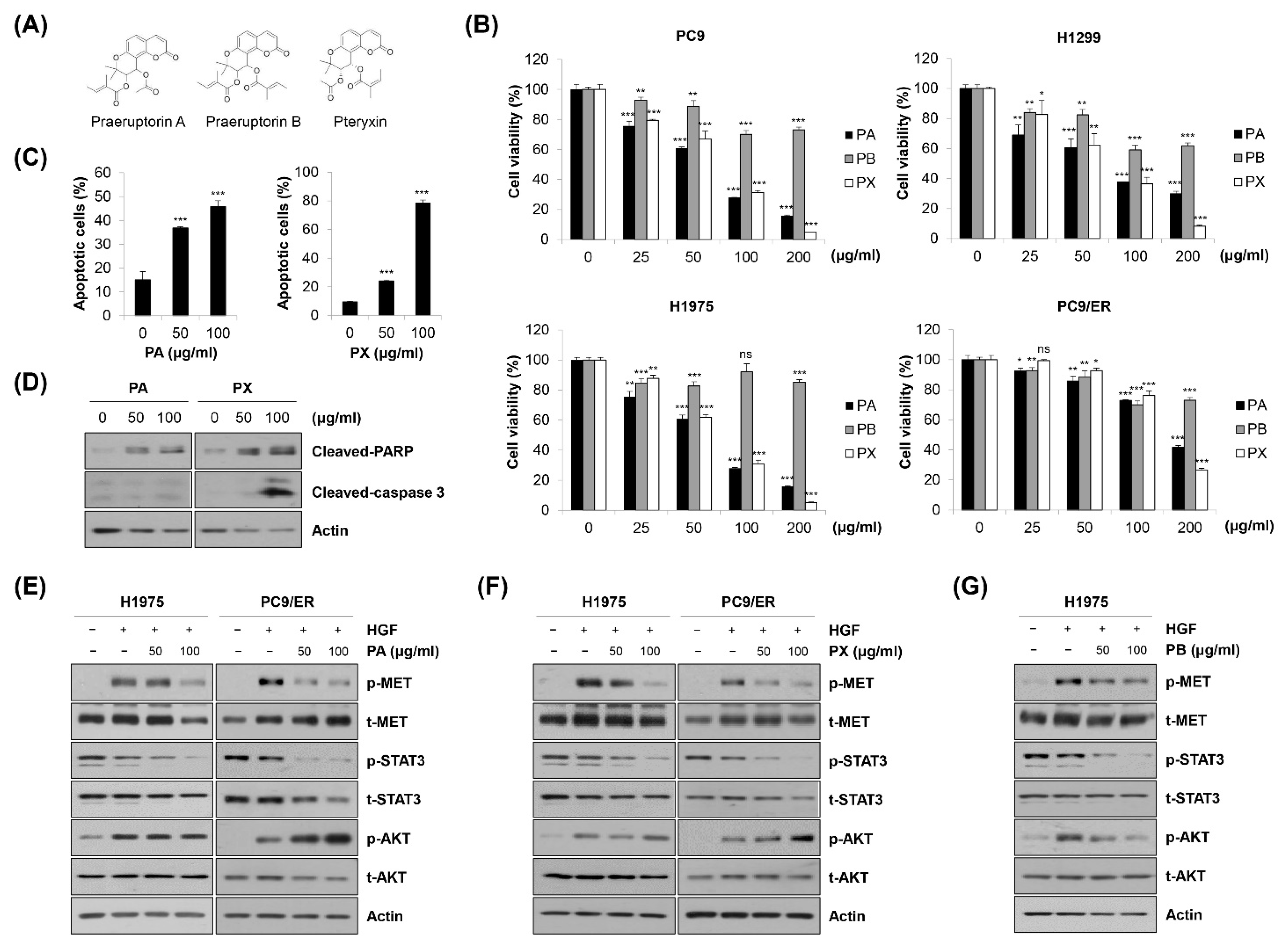 Molecules 27 02360 g006 550