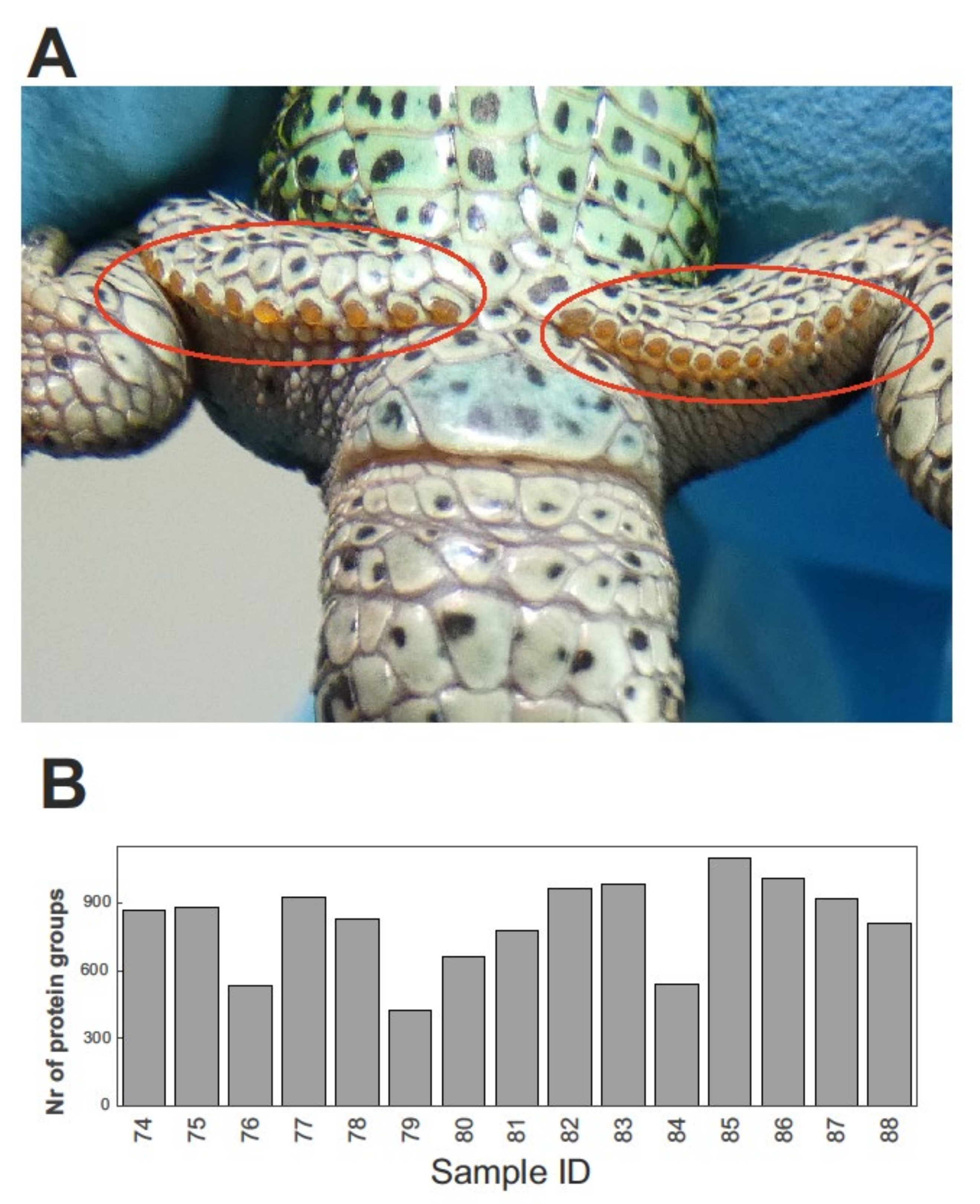 Molecules 27 02371 g001 550