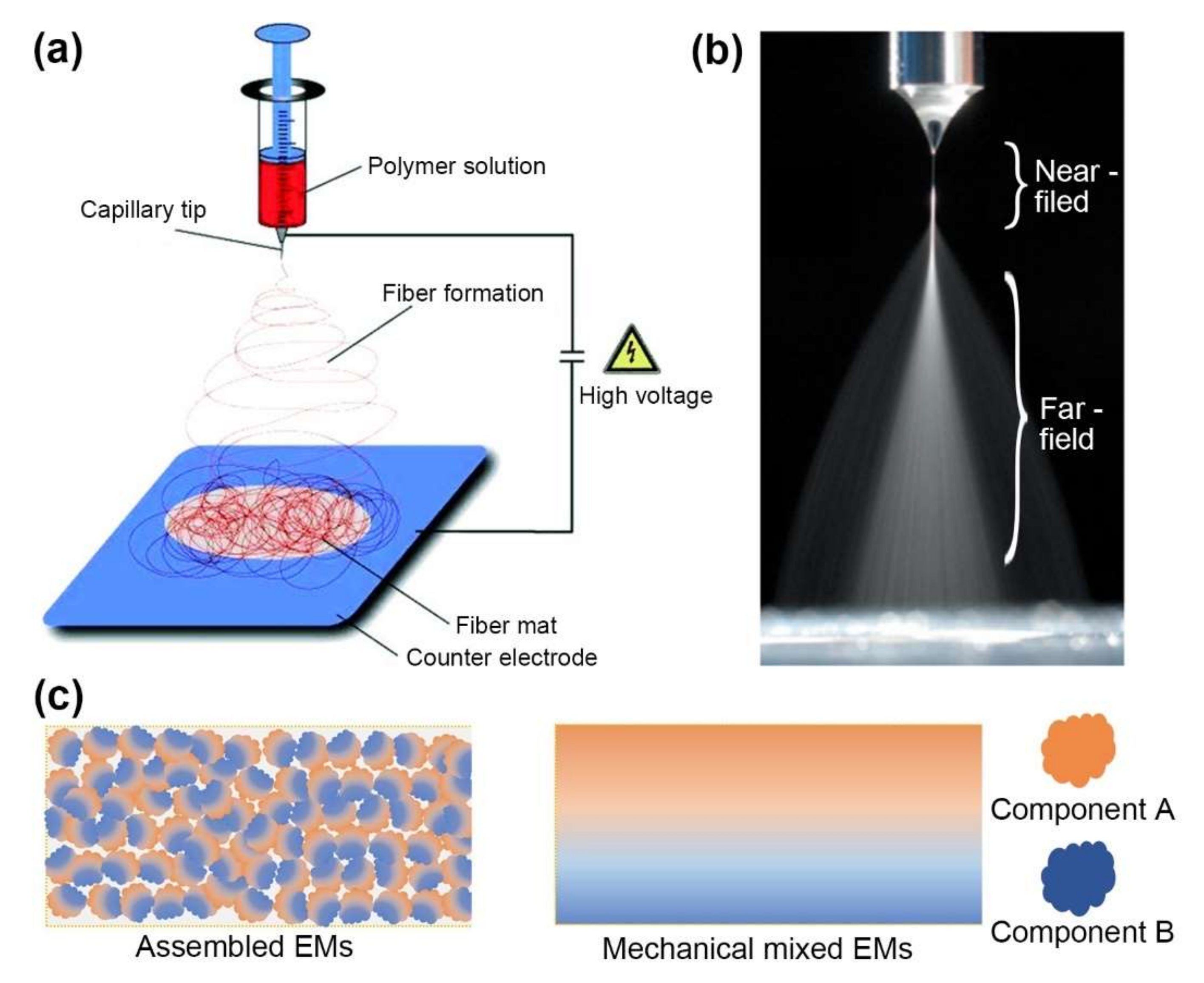 Molecules 27 02374 g001
