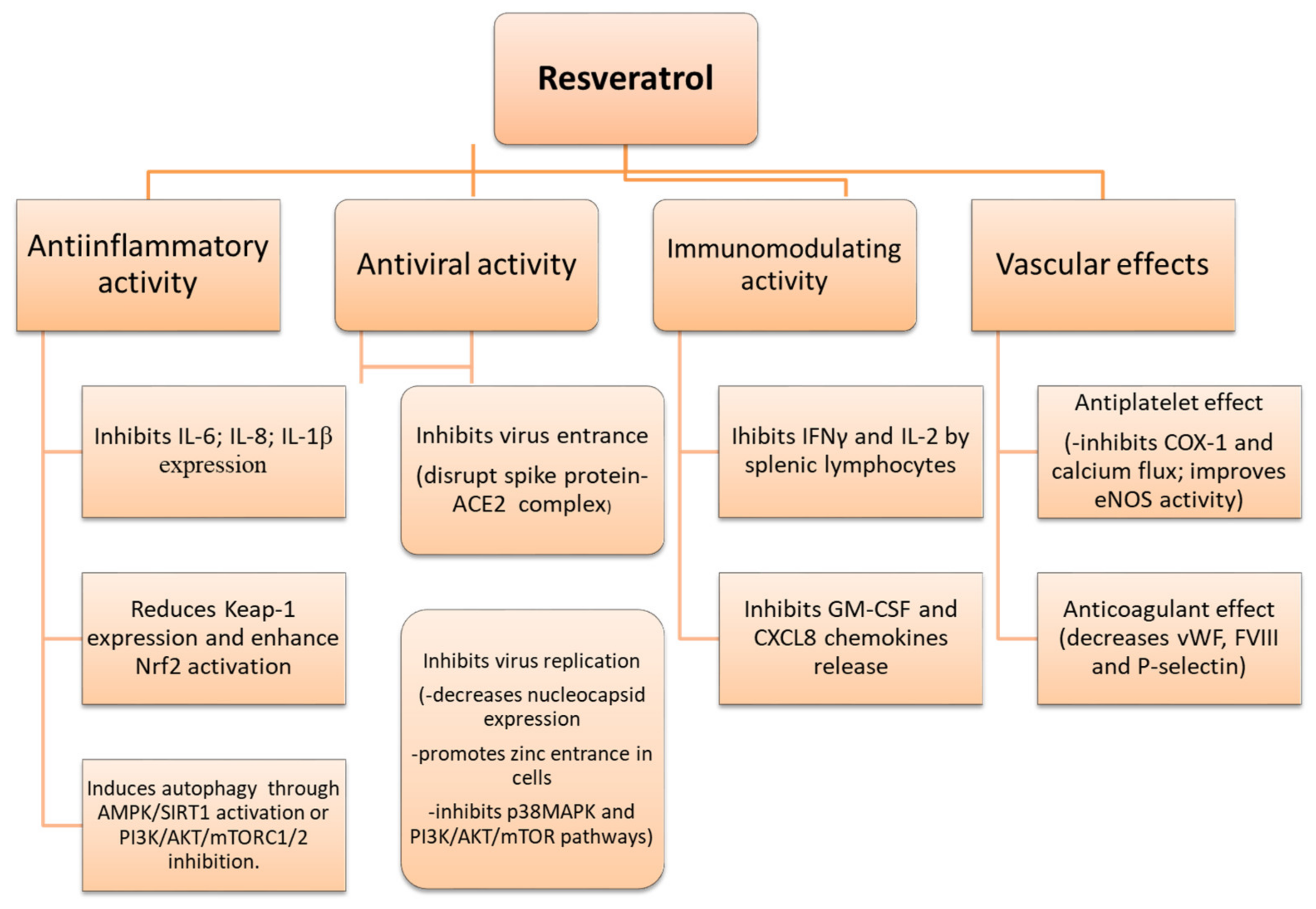 Molecules 27 02376 sch001