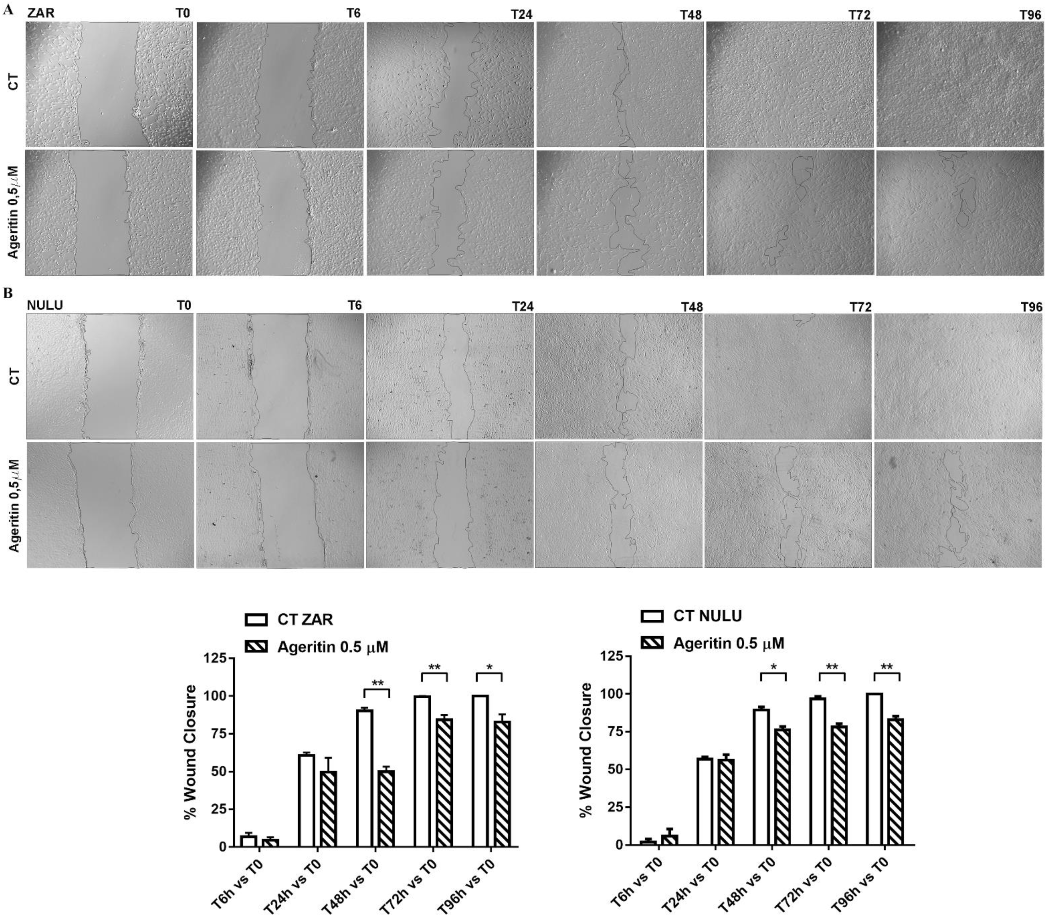 Molecules 27 02385 g003 550