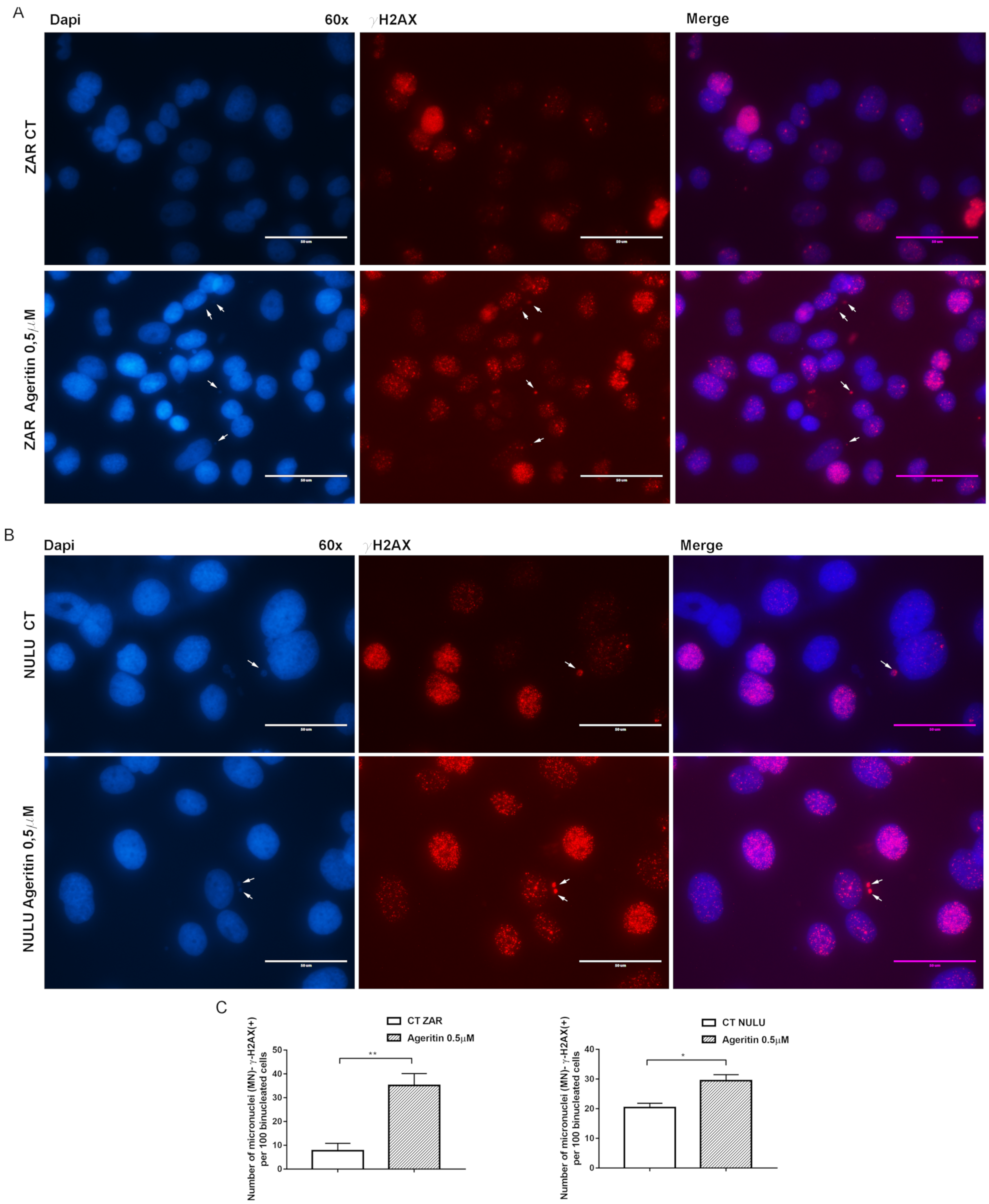Molecules 27 02385 g005 550
