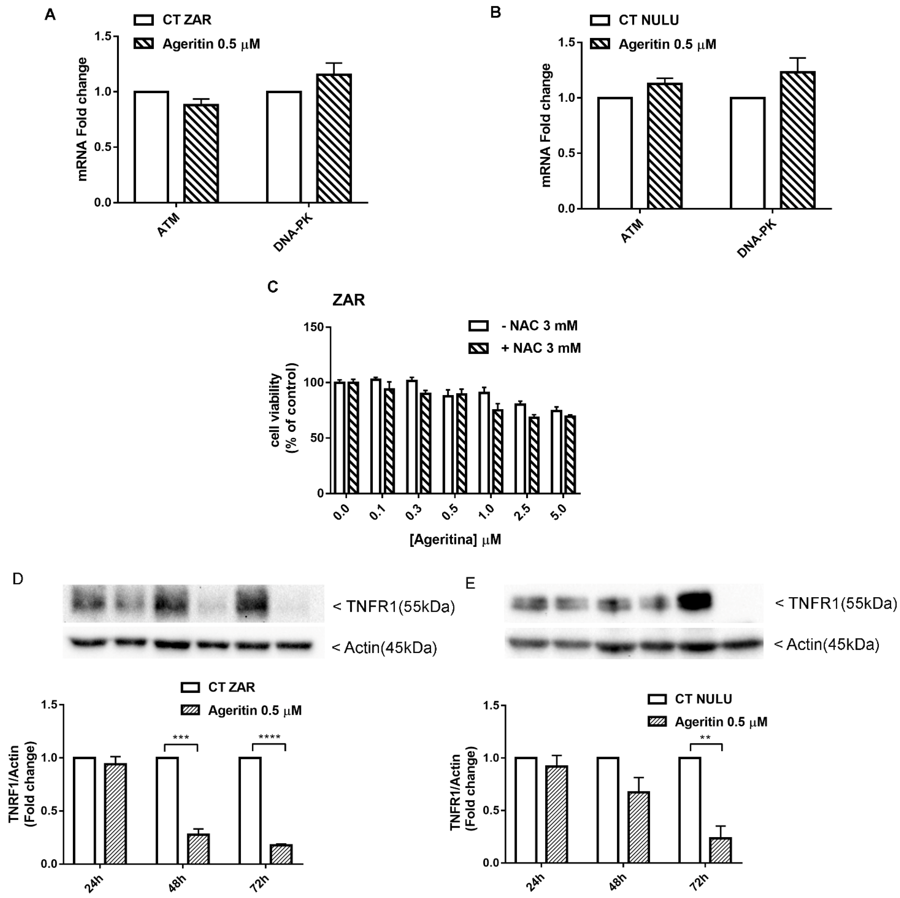 Molecules 27 02385 g006 550