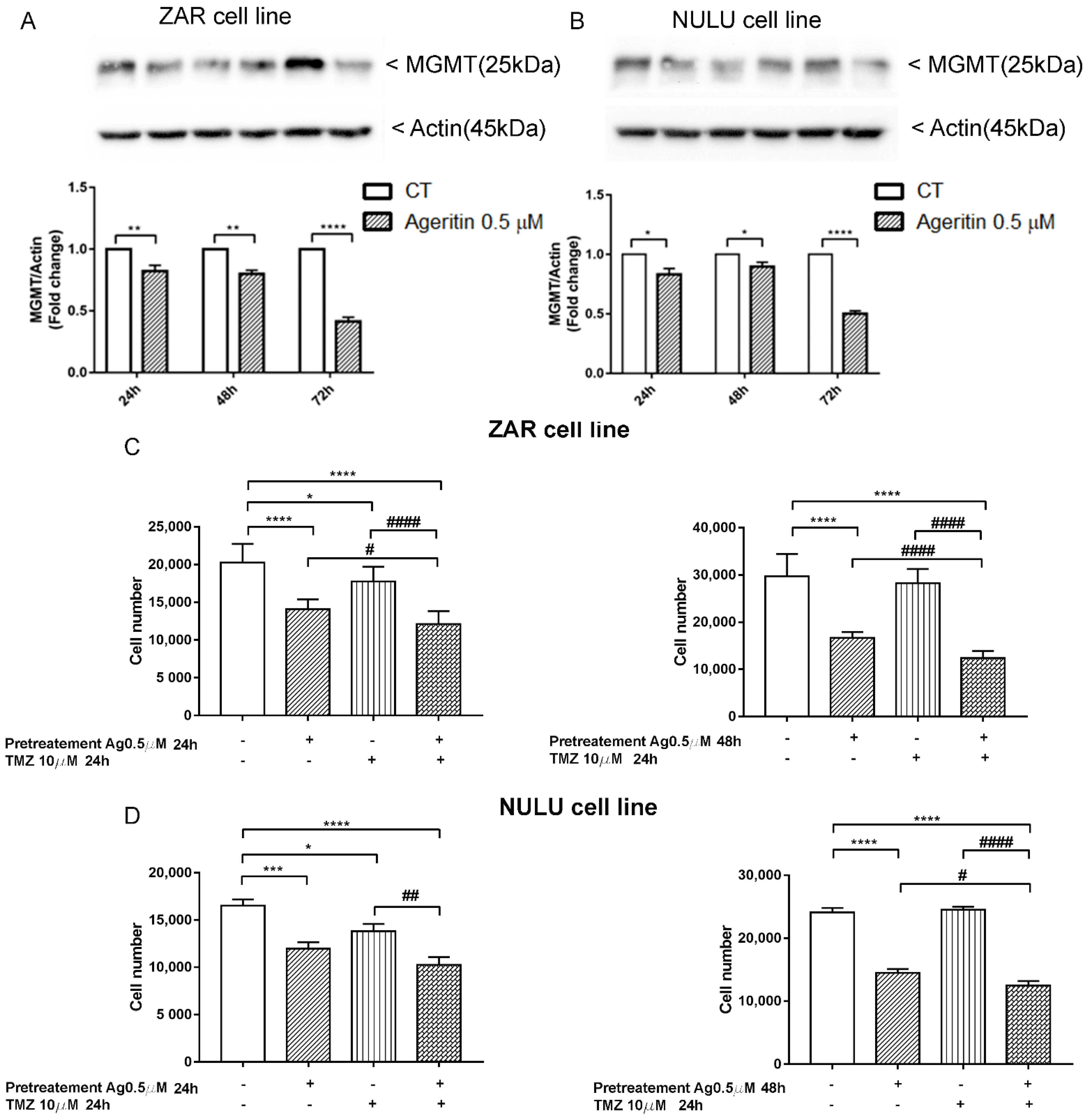 Molecules 27 02385 g007 550