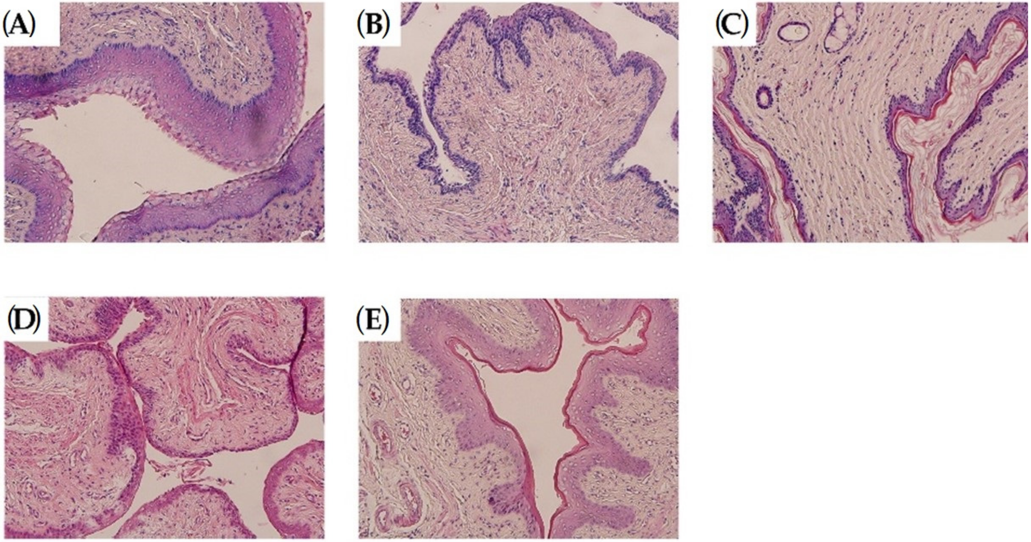 Molecules 27 02388 g002 Molecules 27 02388 g002