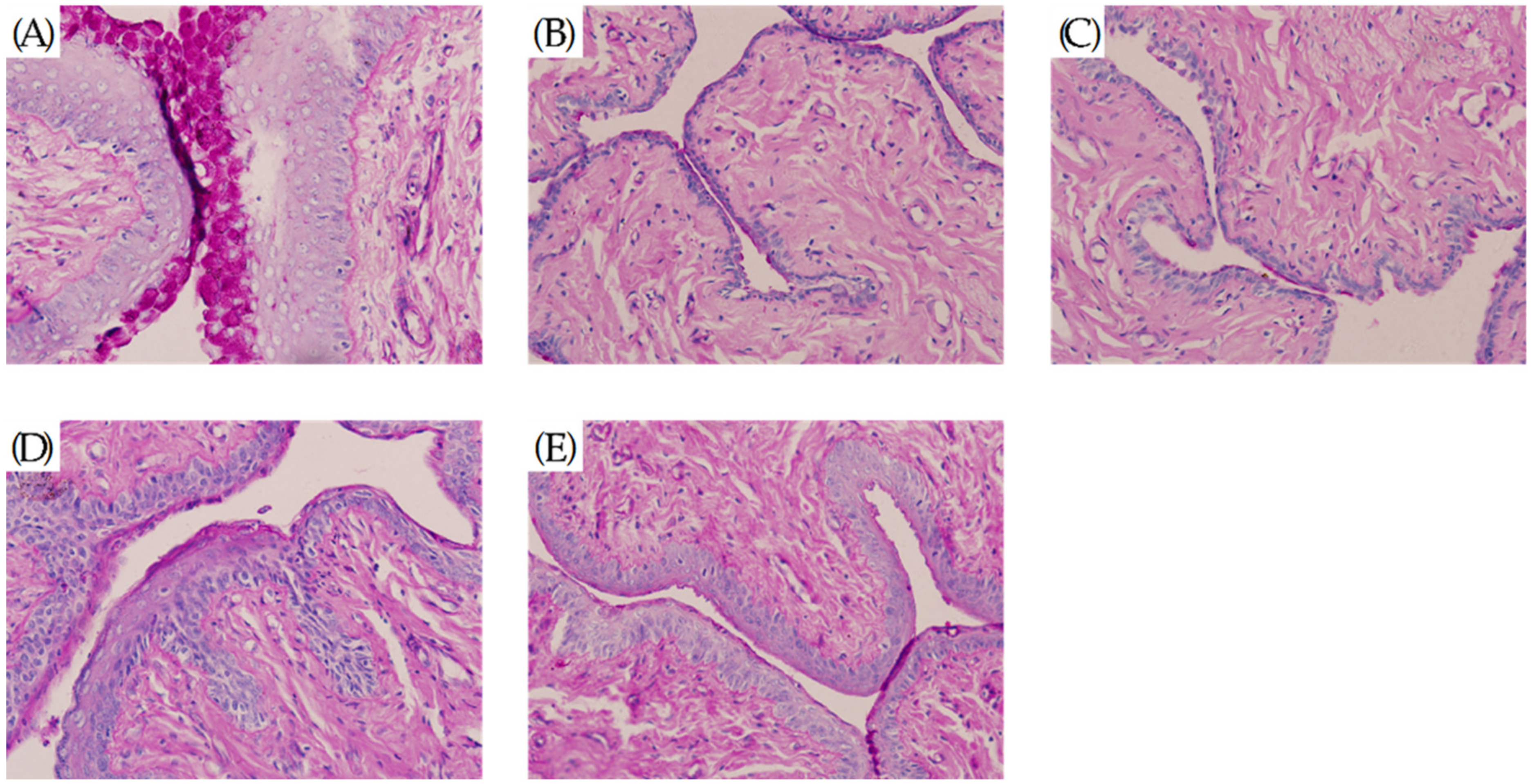 Molecules 27 02388 g007 Molecules 27 02388 g007