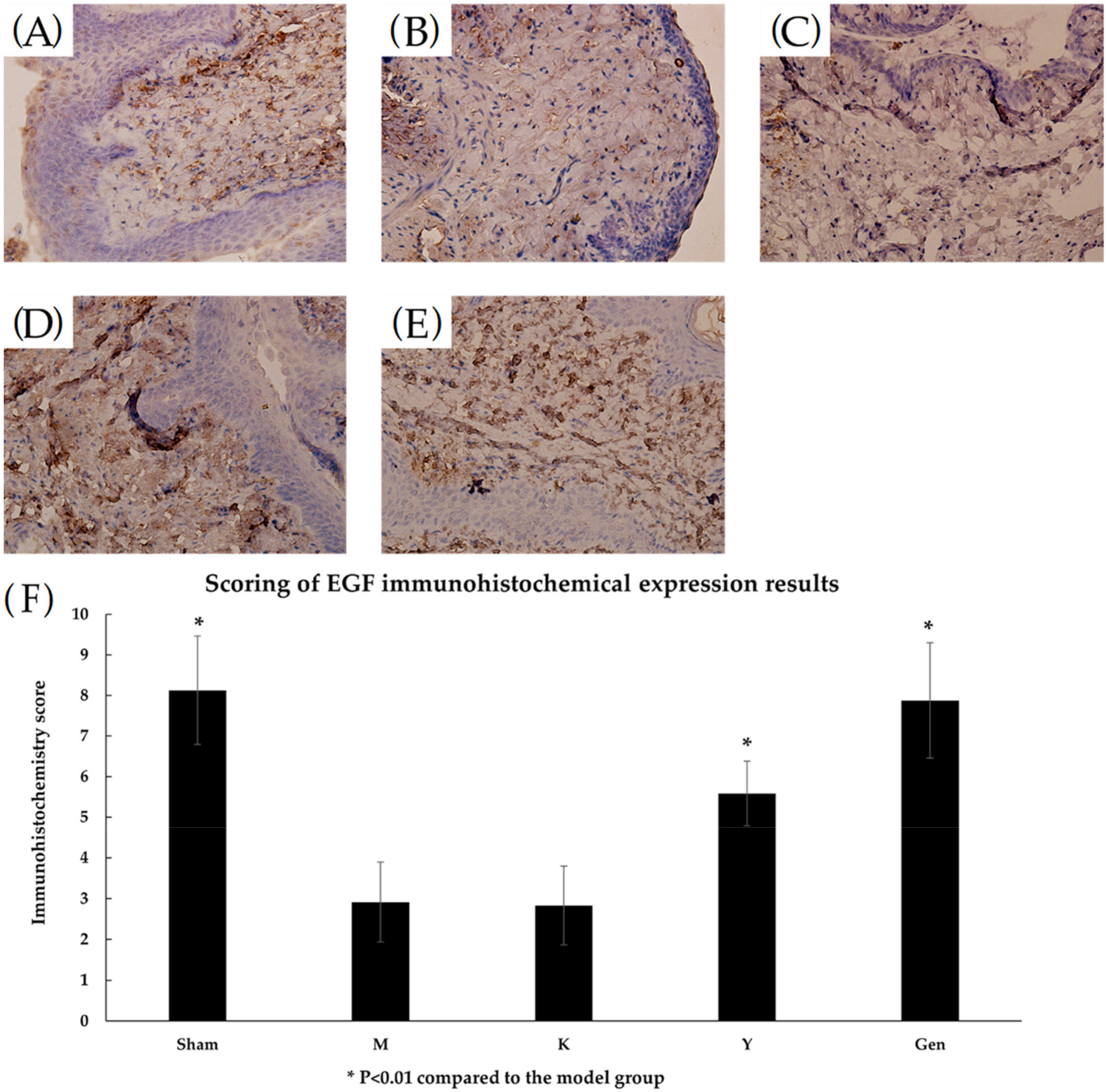 Molecules 27 02388 g009 Molecules 27 02388 g009