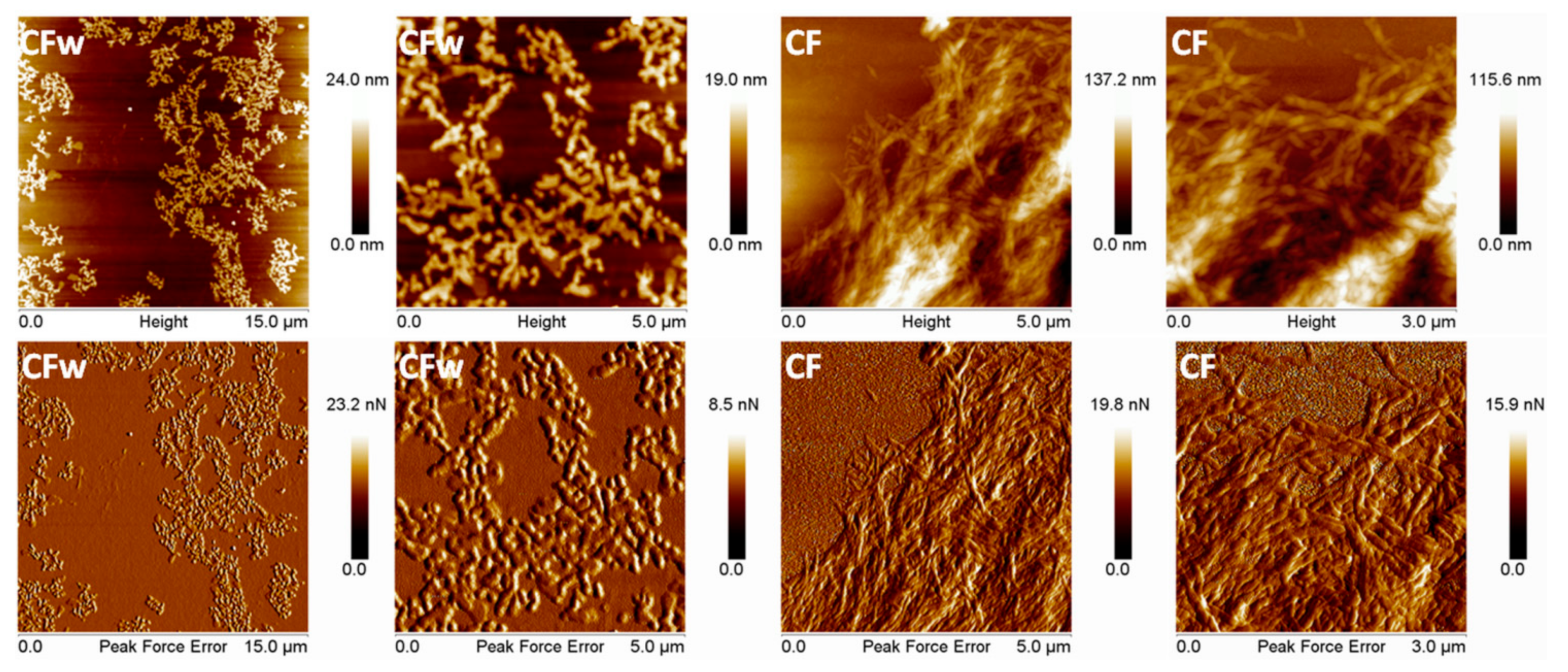 Molecules 27 02390 g001