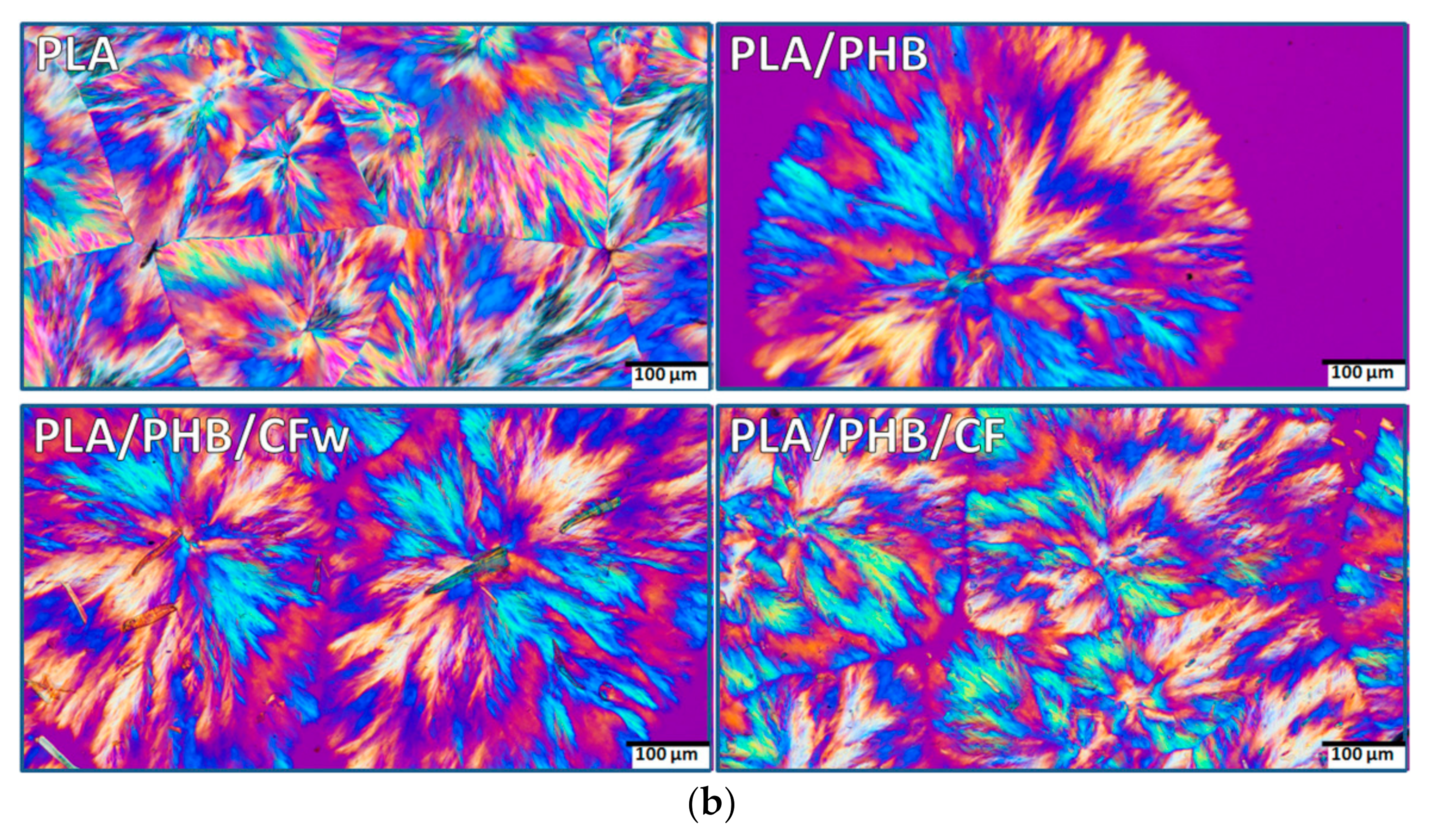 Molecules 27 02390 g005b
