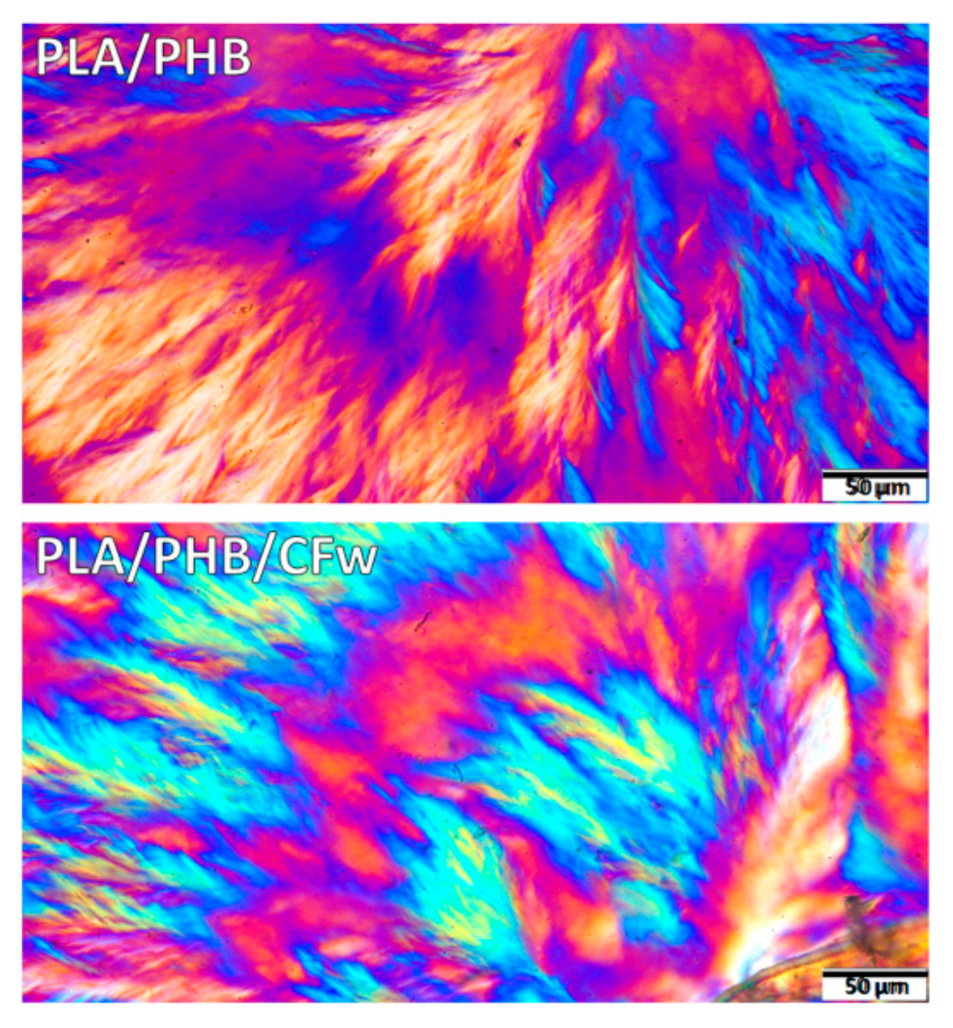 Molecules 27 02390 g006