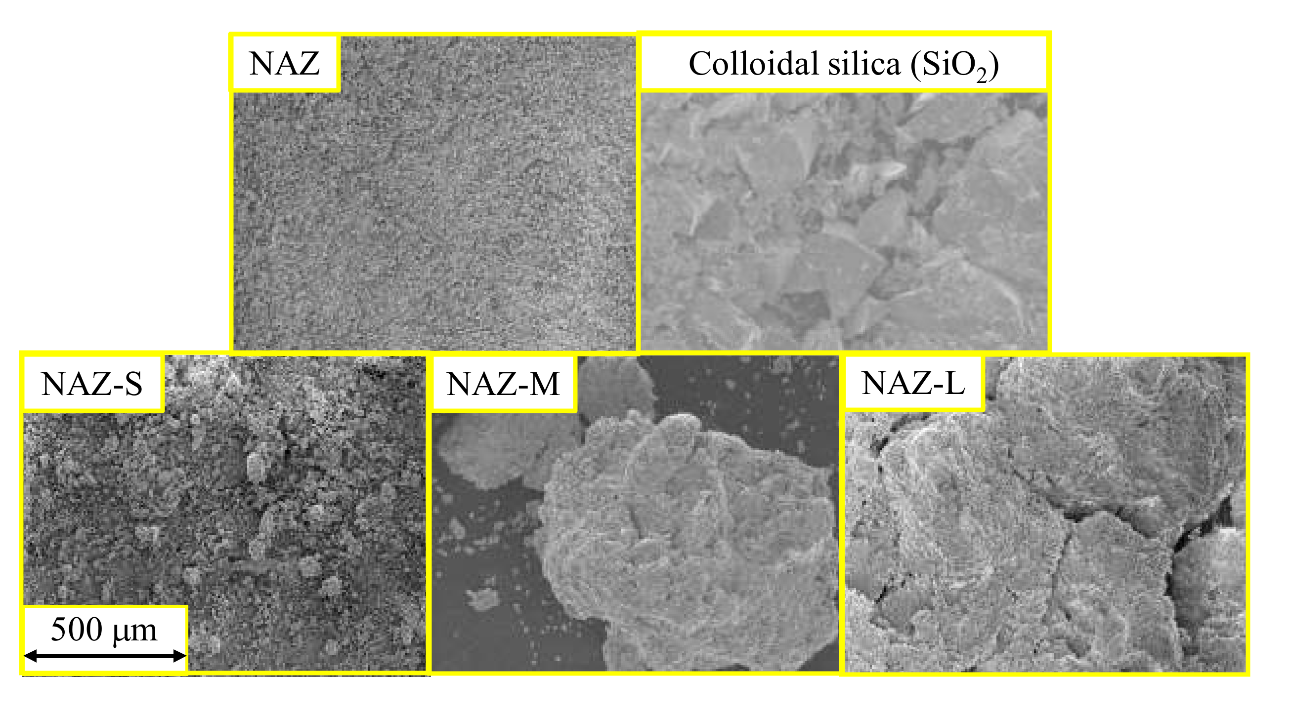 Molecules 27 02392 g002