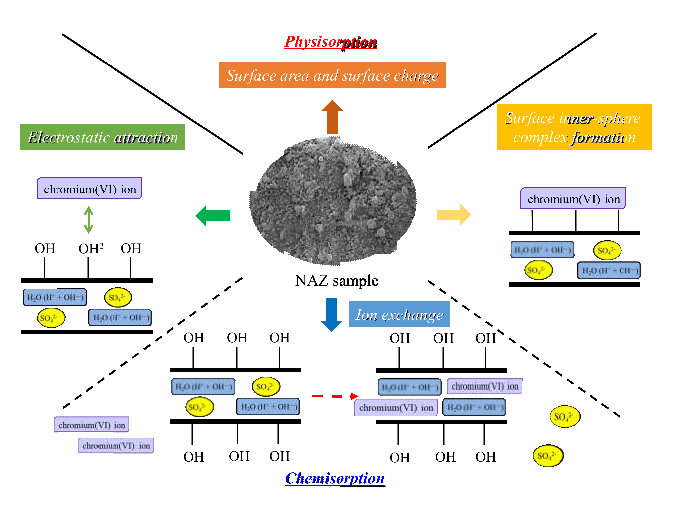 Molecules 27 02392 g011