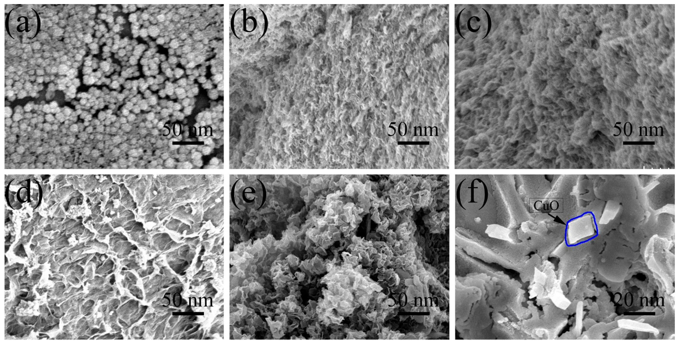 Molecules 27 02395 g001