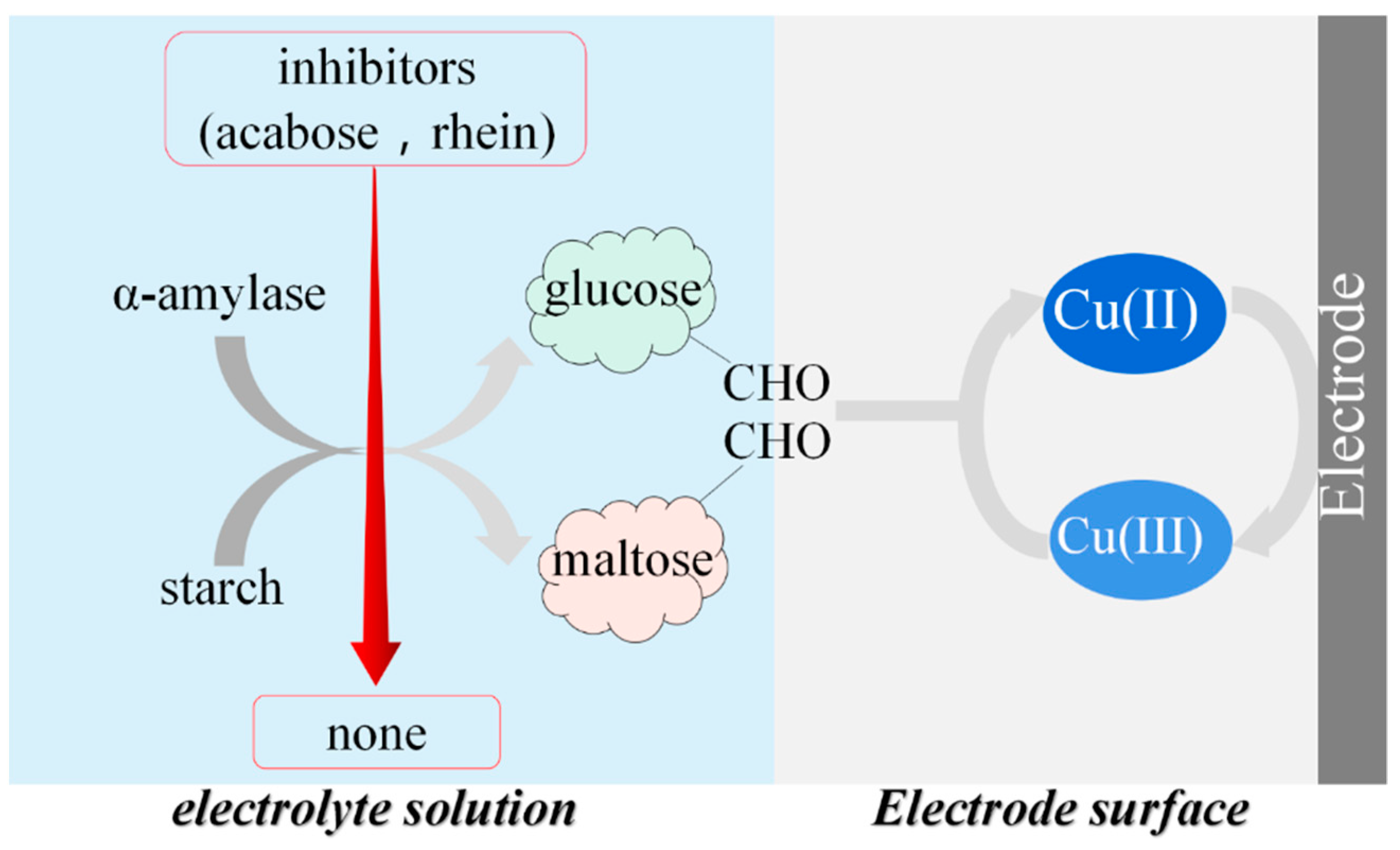 Molecules 27 02395 g008