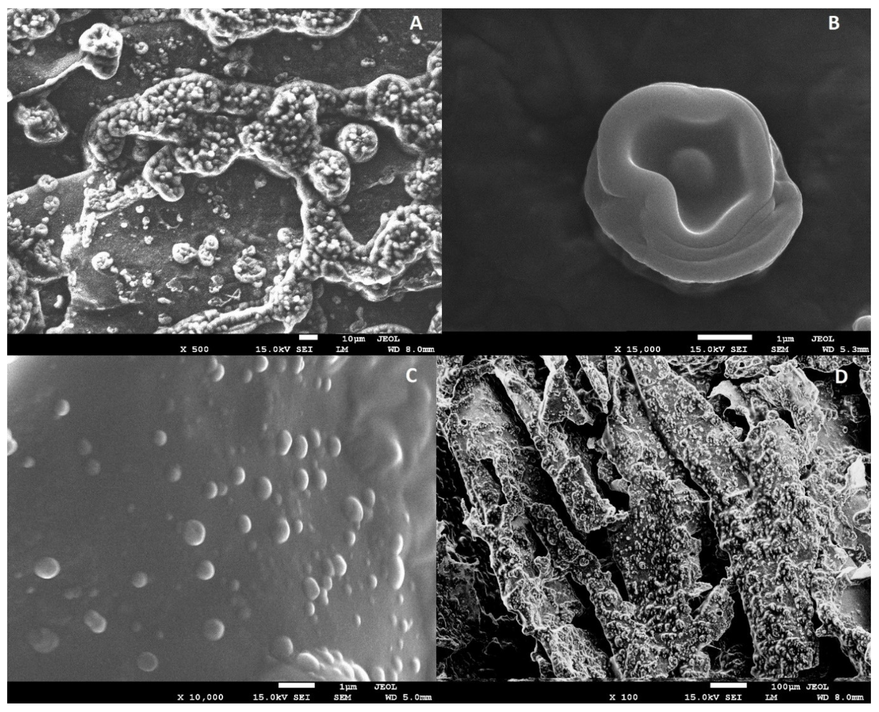 Molecules 27 02397 g002 550