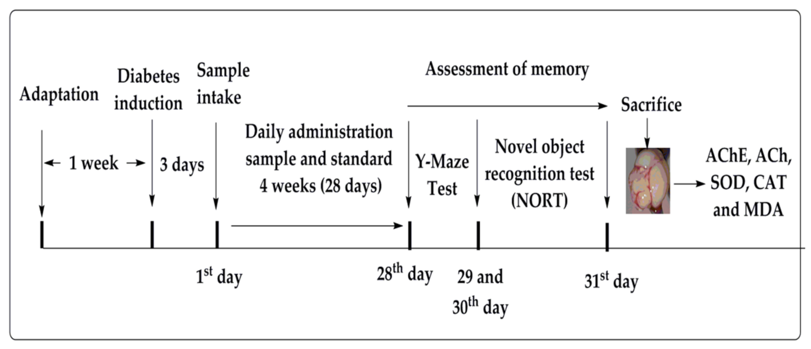 Molecules 27 02399 g005 550