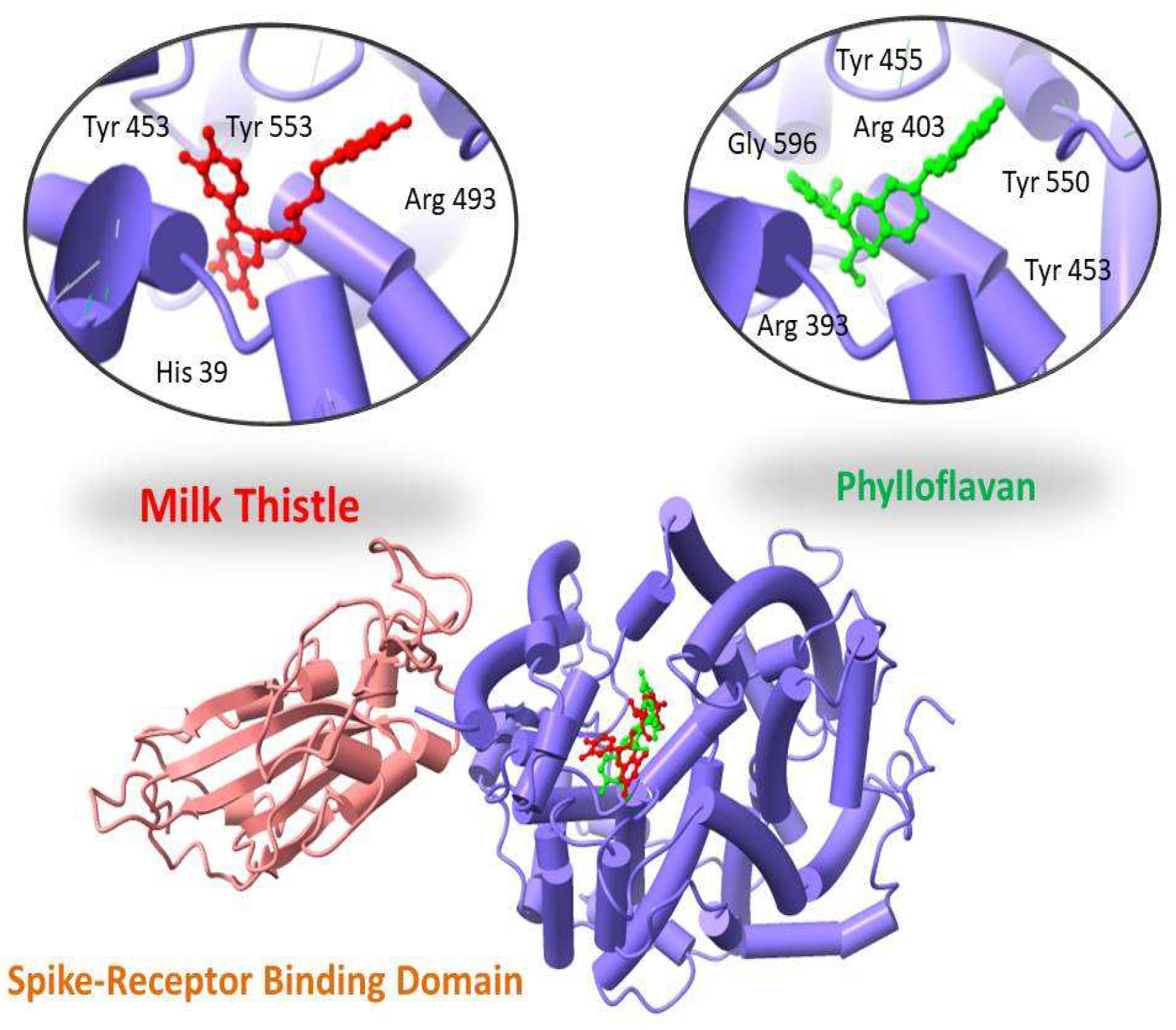 Molecules 27 02401 g002 550