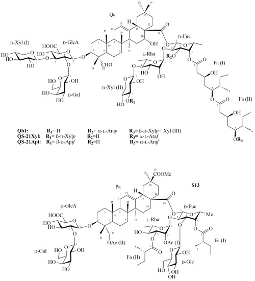 Structure Elucidation of Triterpenoid Saponins Found in an