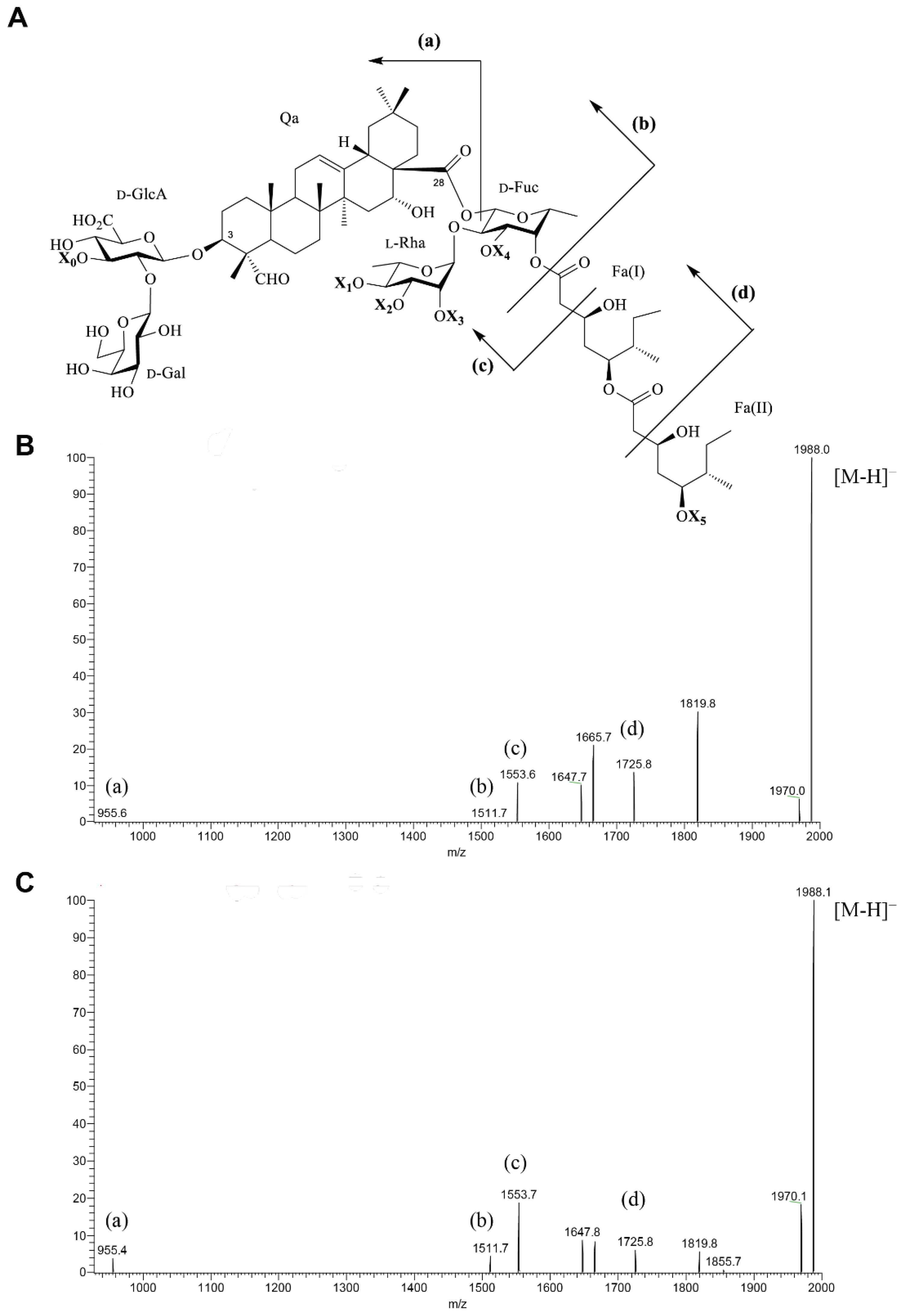 Molecules 27 02402 g002