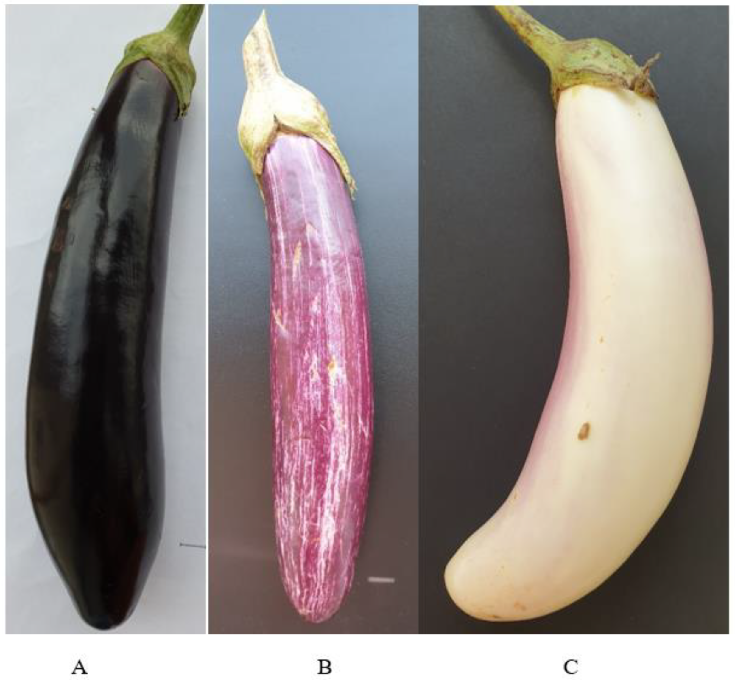 Molecules 27 02410 g004