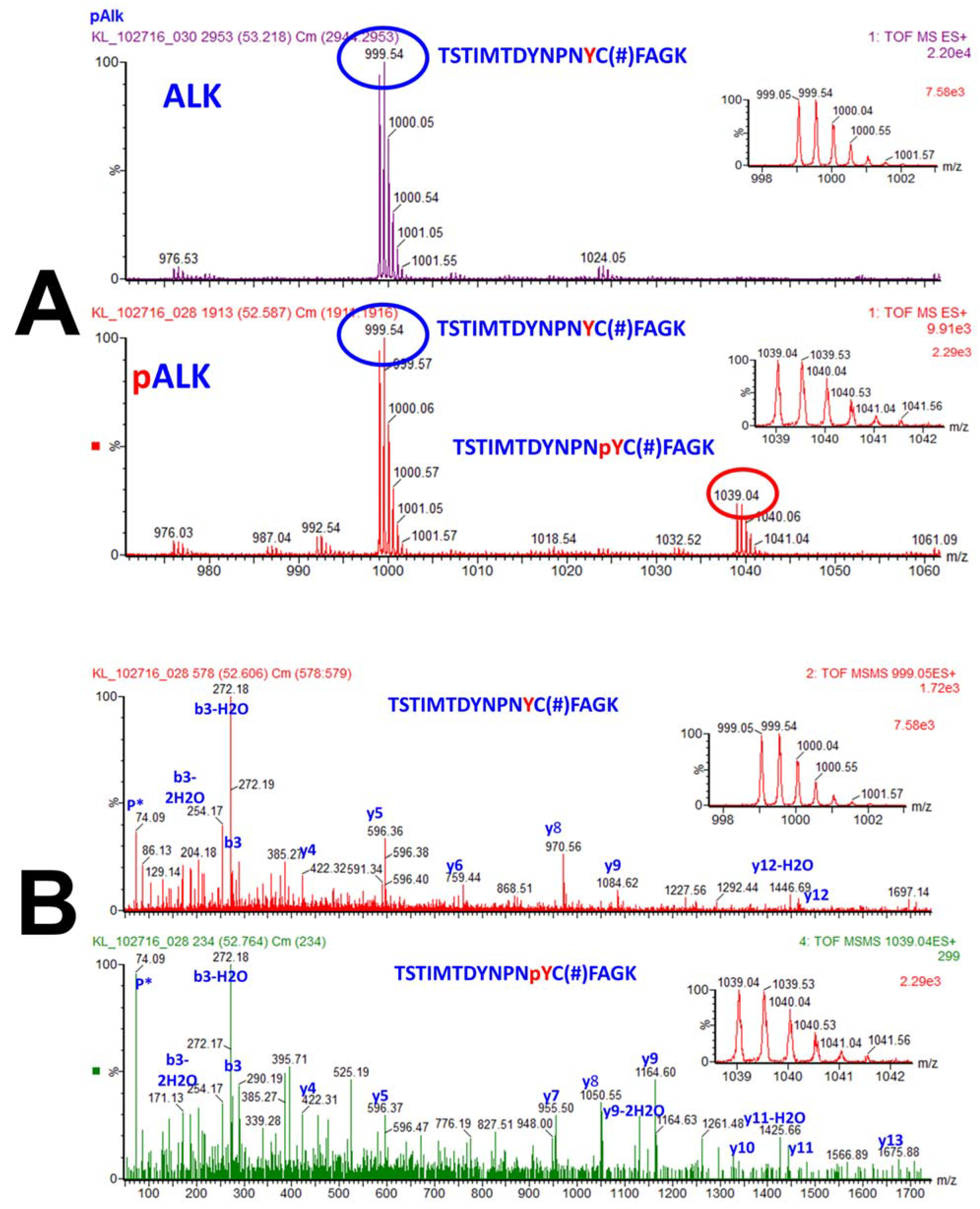Molecules 27 02411 g004