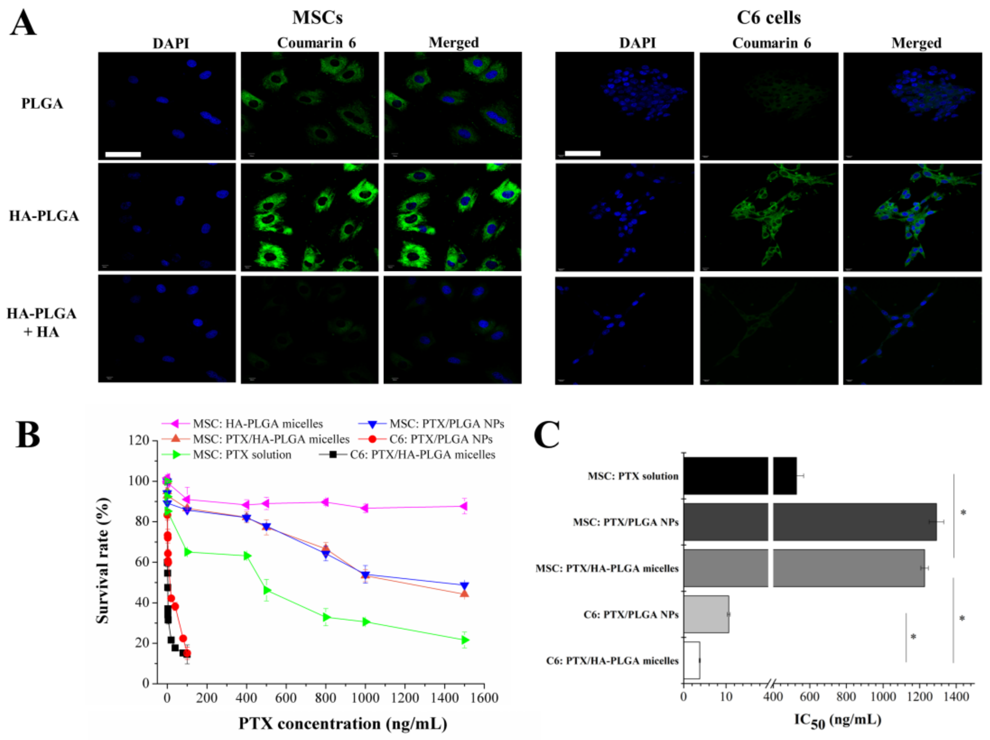 Molecules | Free Full-Text | Tumor Tropic Delivery of Hyaluronic 