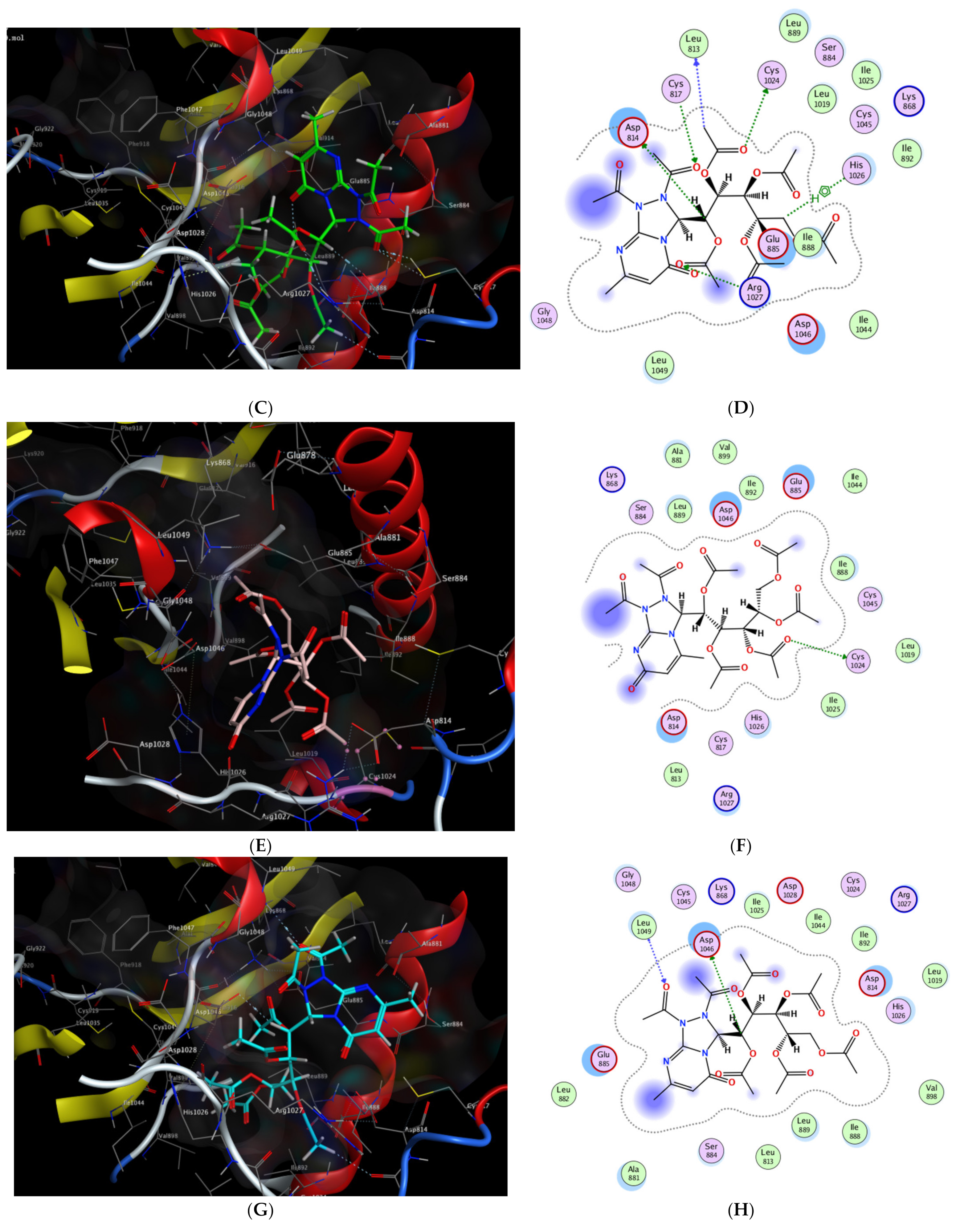Molecules 27 02422 g004b