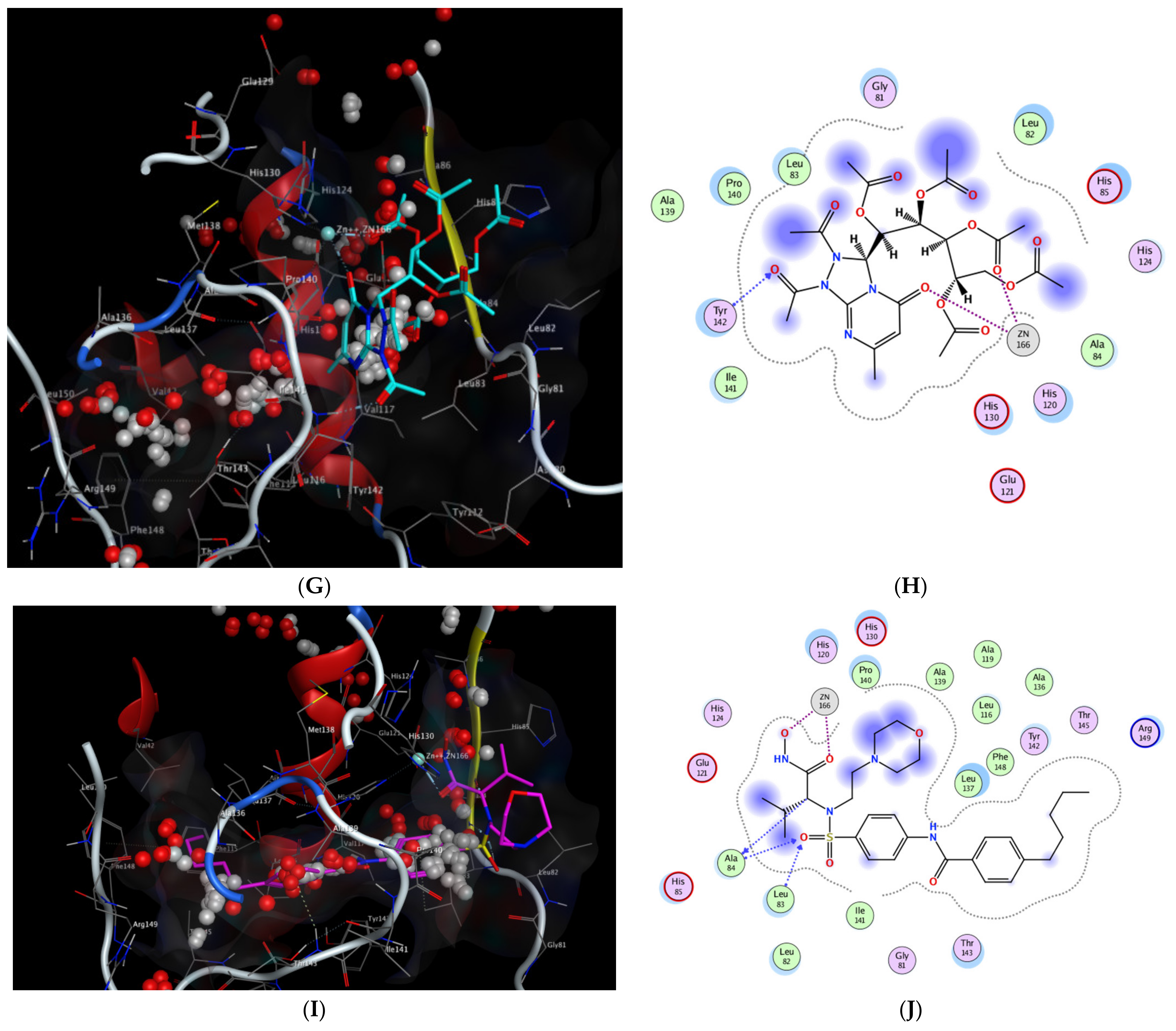 Molecules 27 02422 g005b