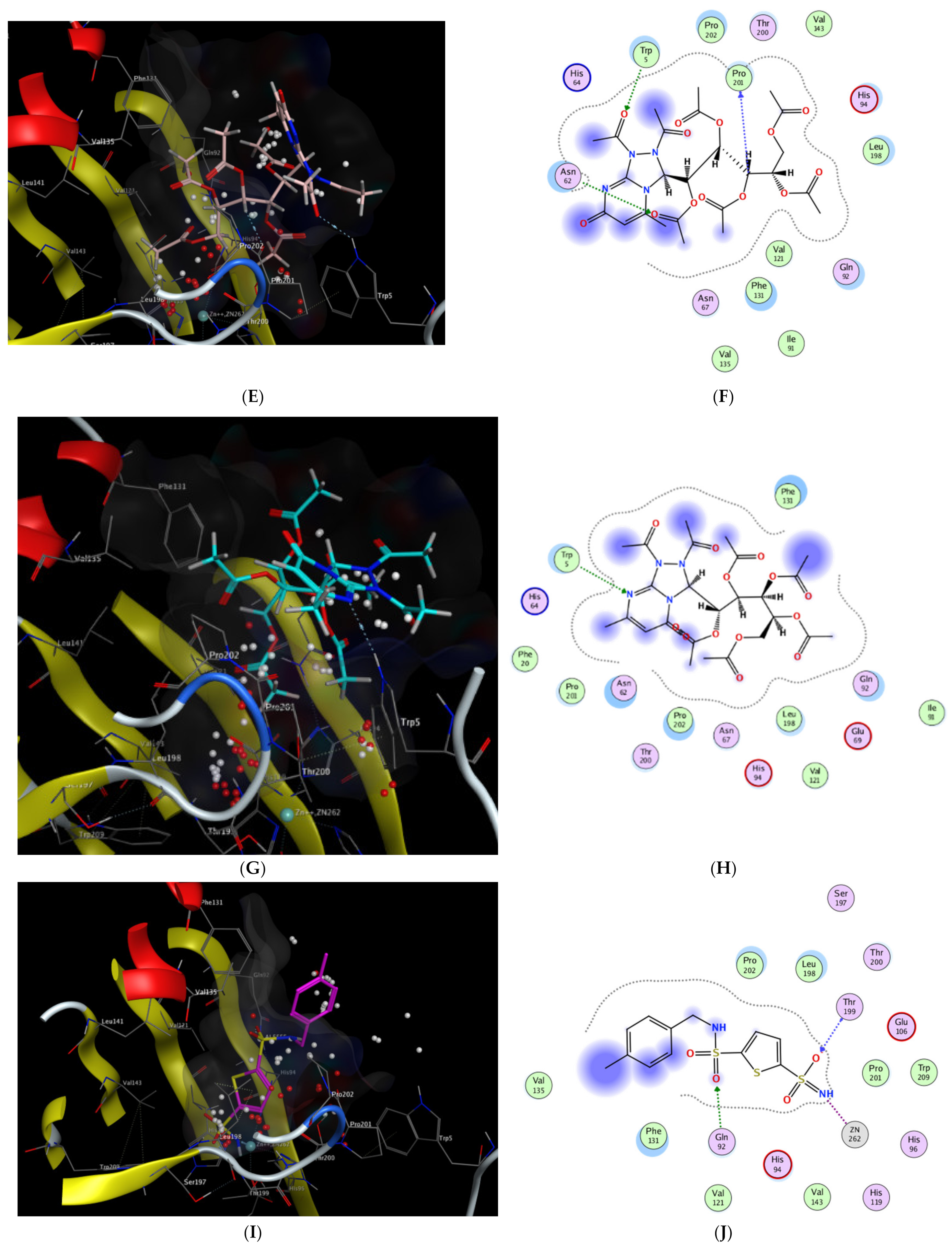 Molecules 27 02422 g006b