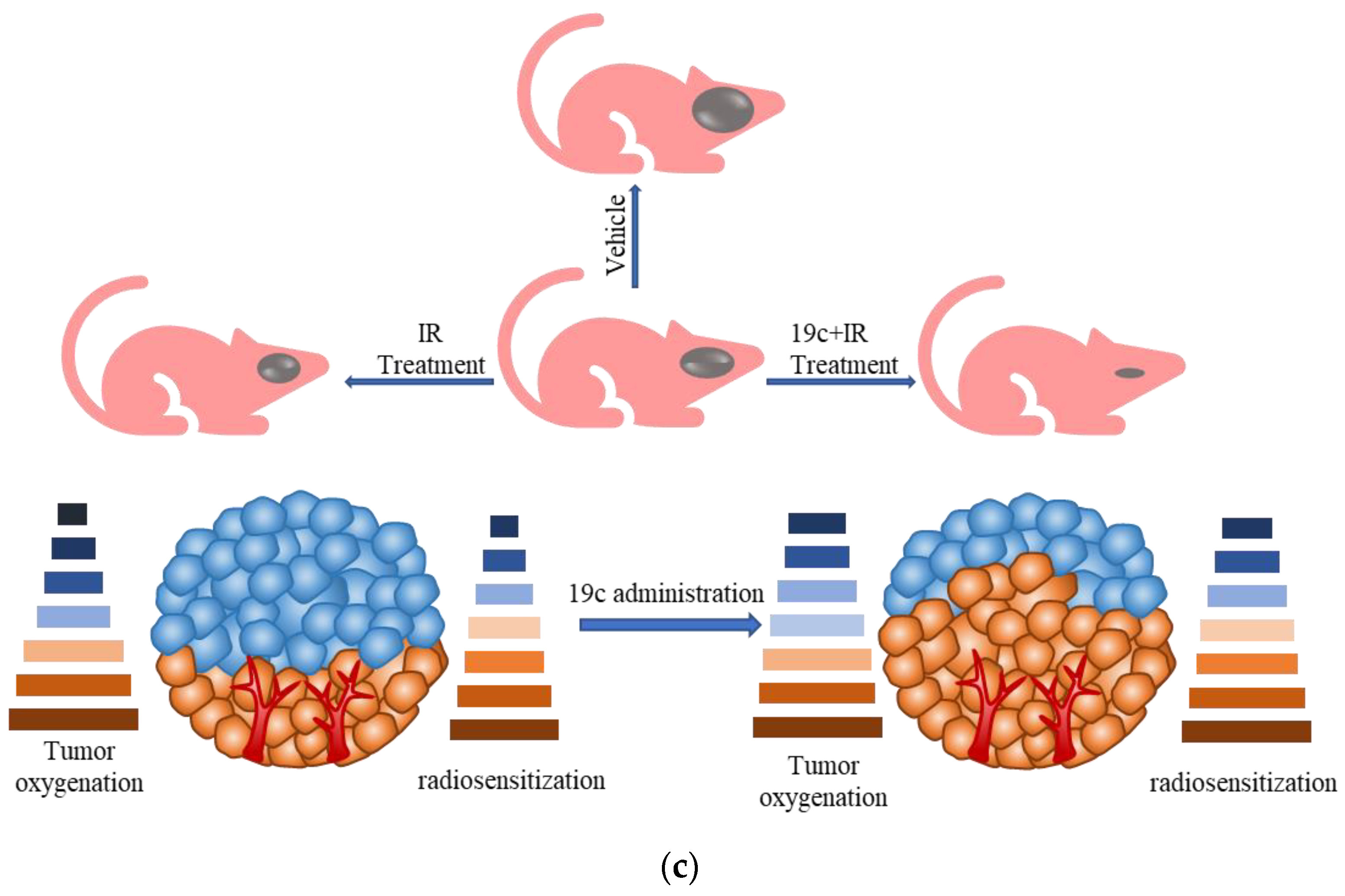 Molecules 27 02428 g006b 550