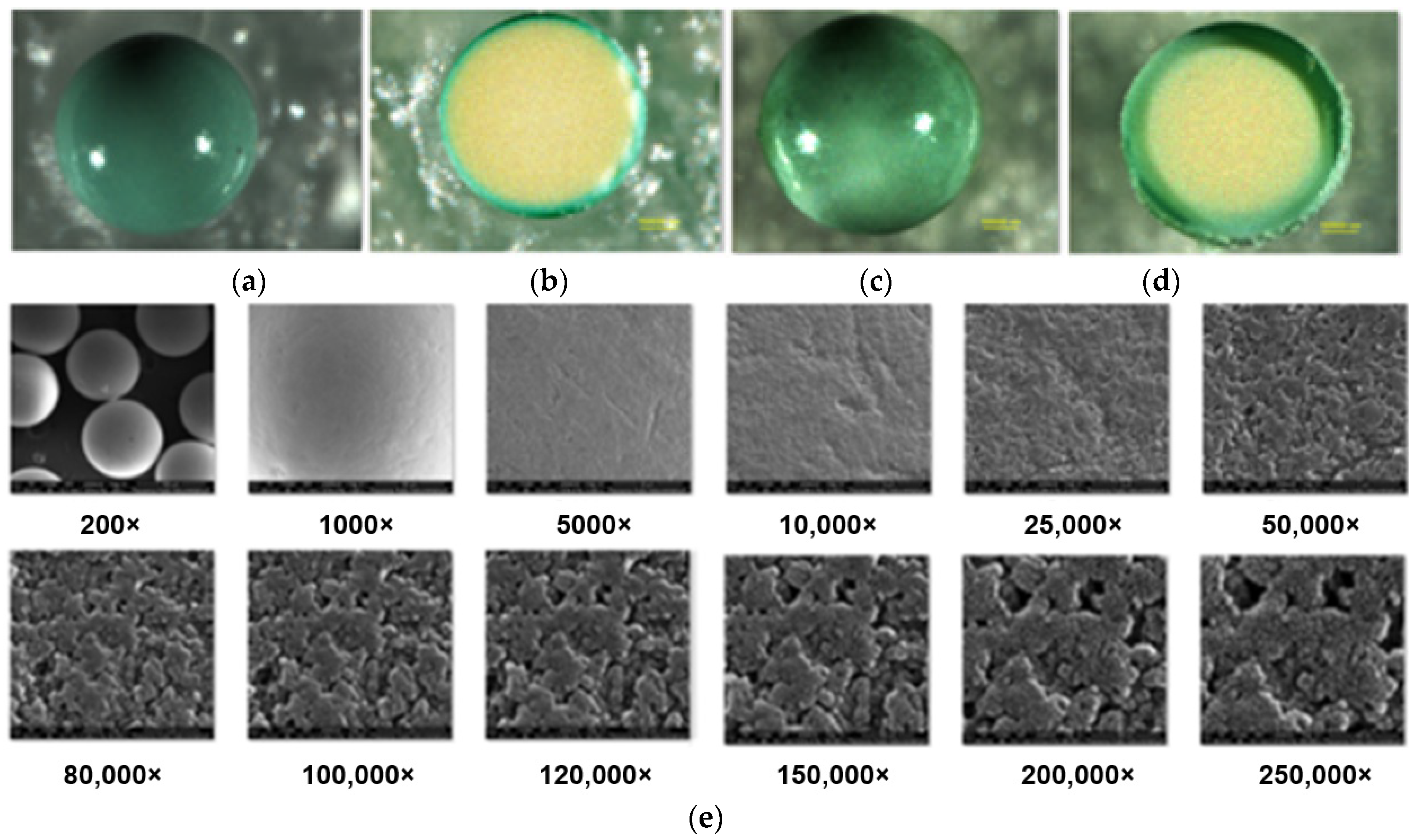 Molecules 27 02430 g008