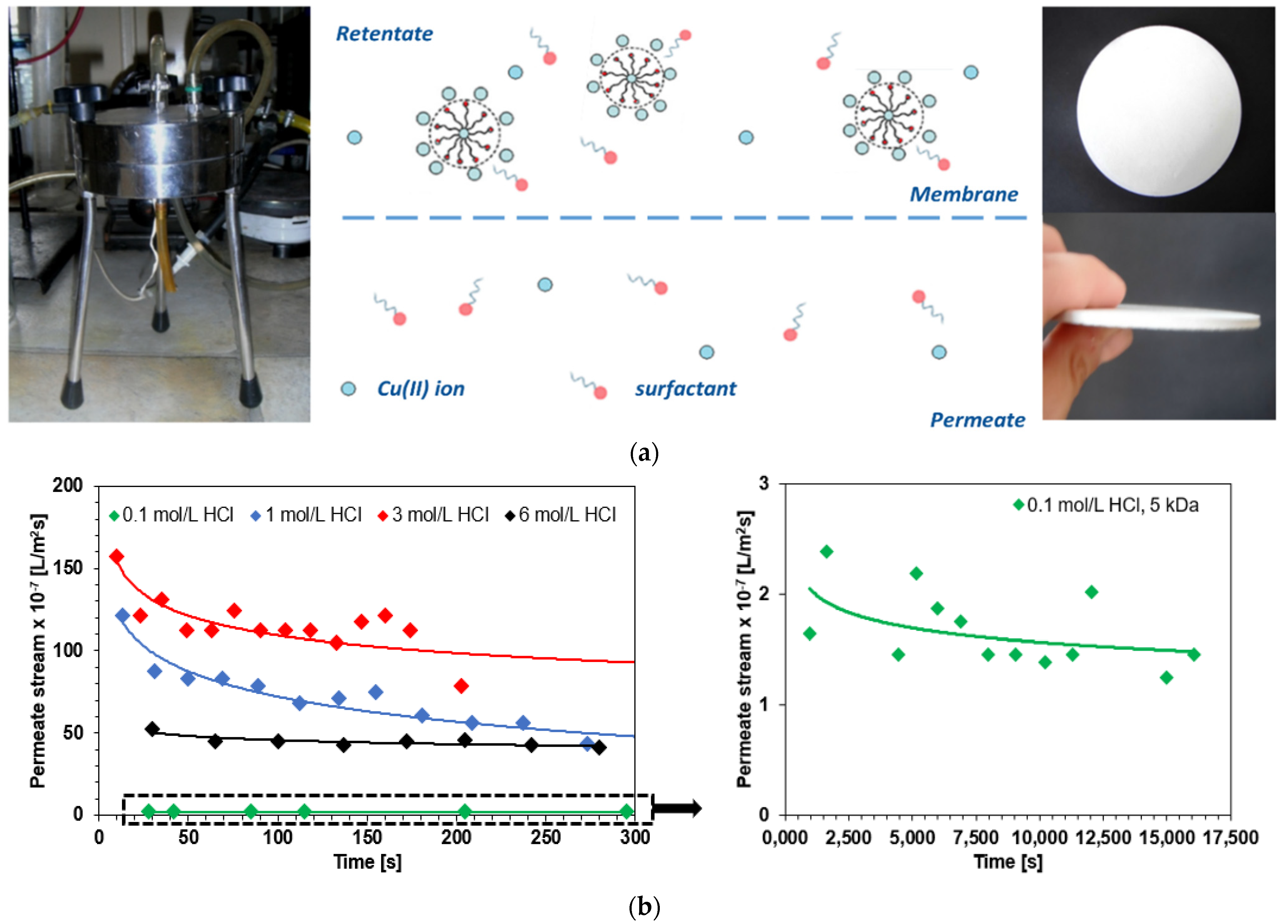 Molecules 27 02430 g010a