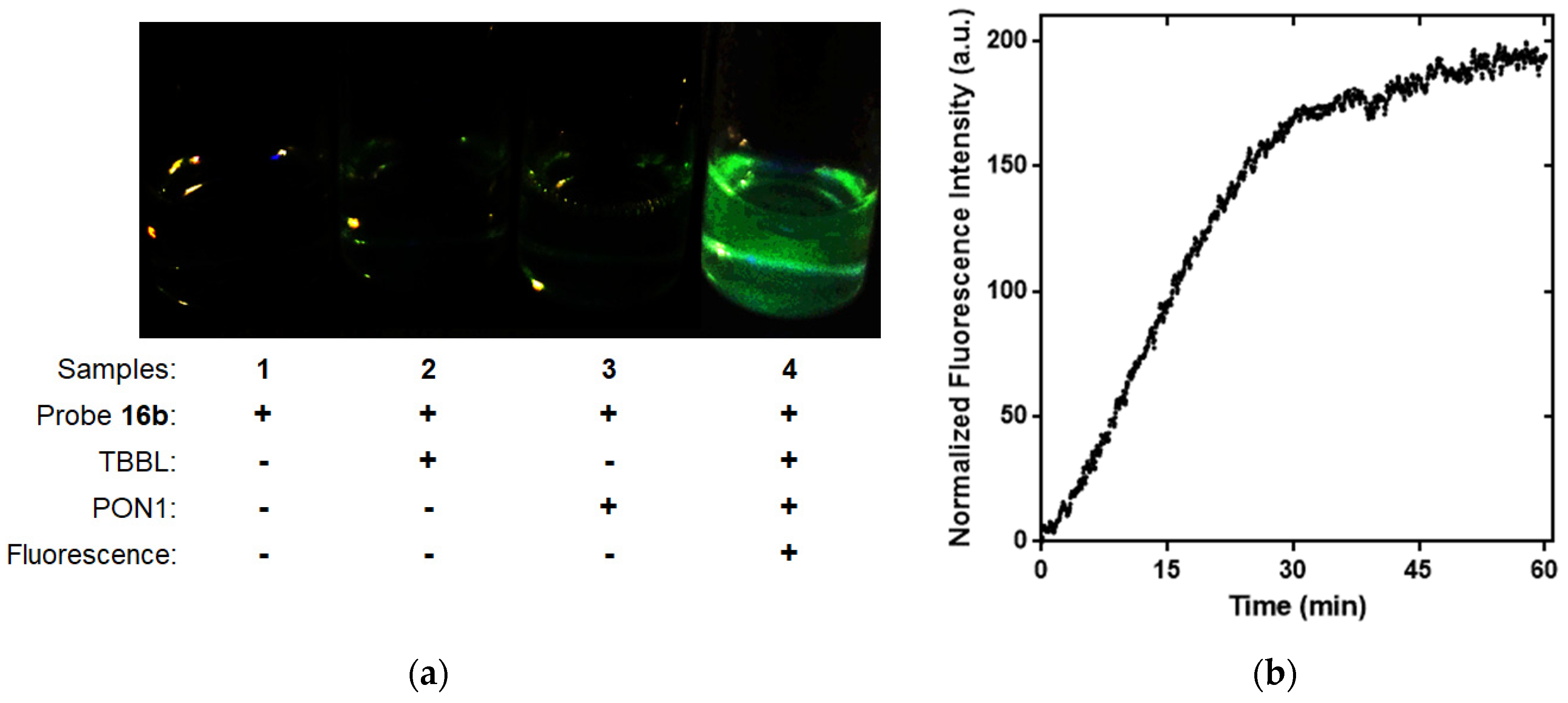 Molecules 27 02435 g004 Molecules 27 02435 g004