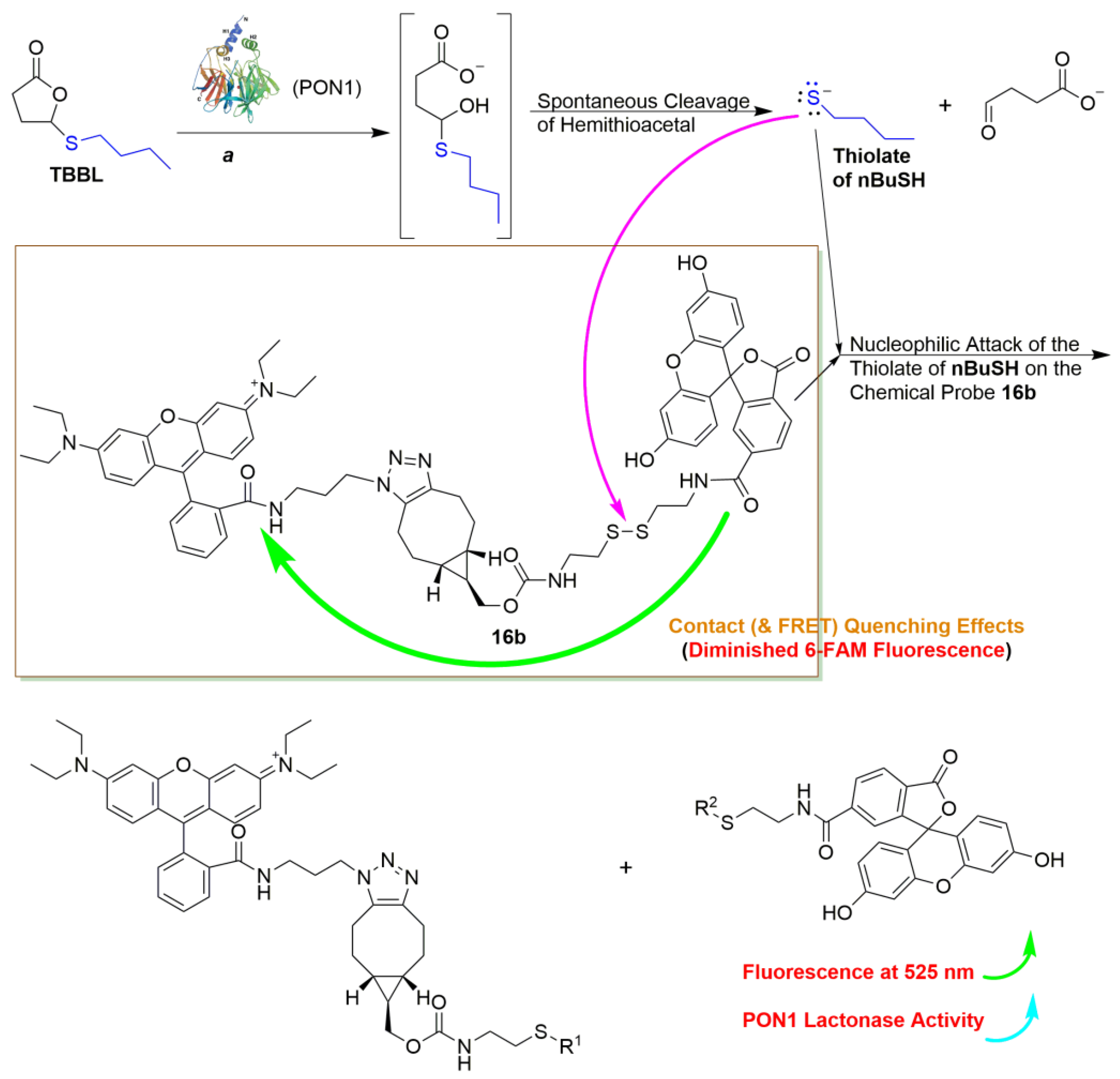 Molecules 27 02435 sch001 Molecules 27 02435 sch001