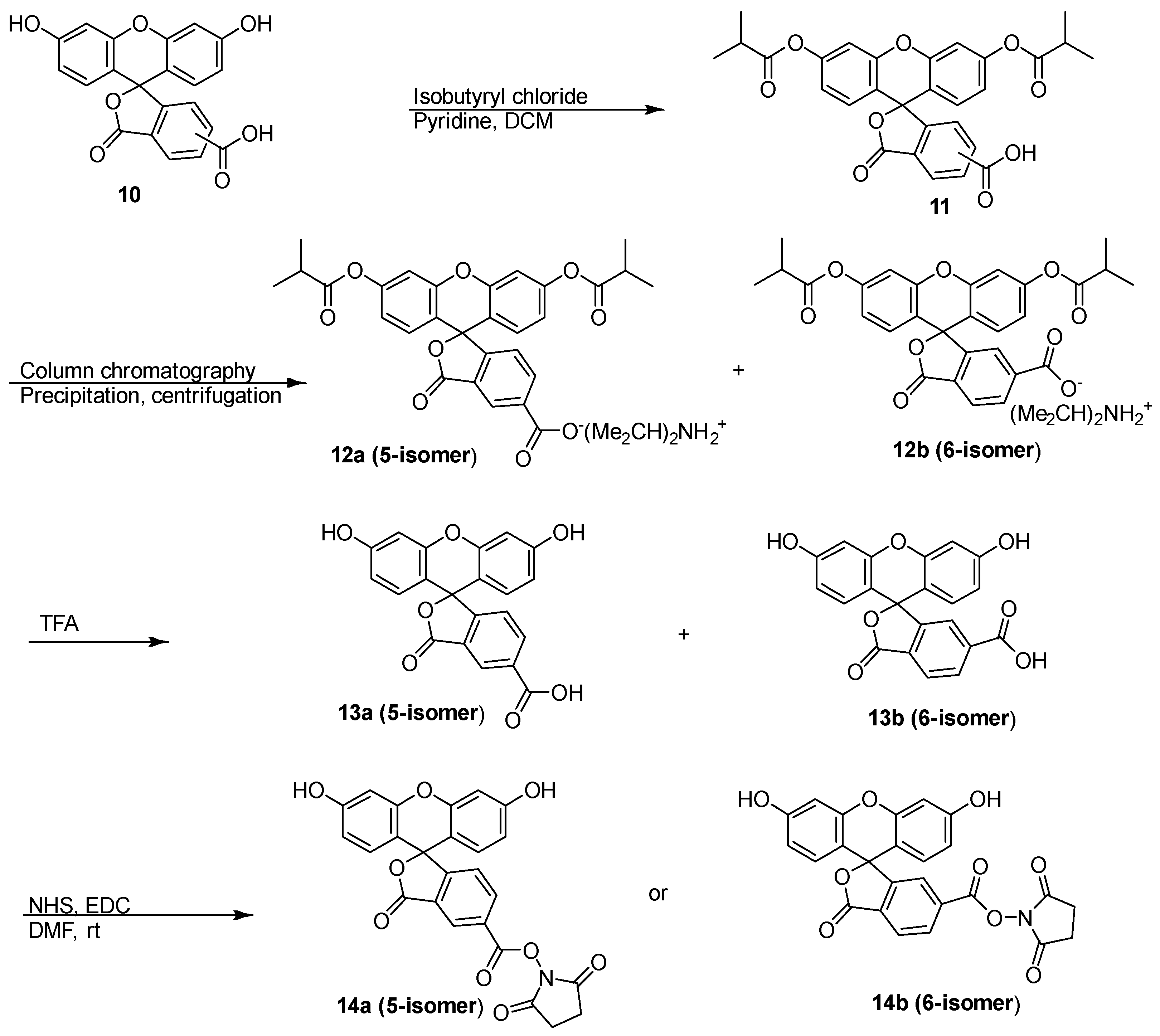 Molecules 27 02435 sch003 Molecules 27 02435 sch003