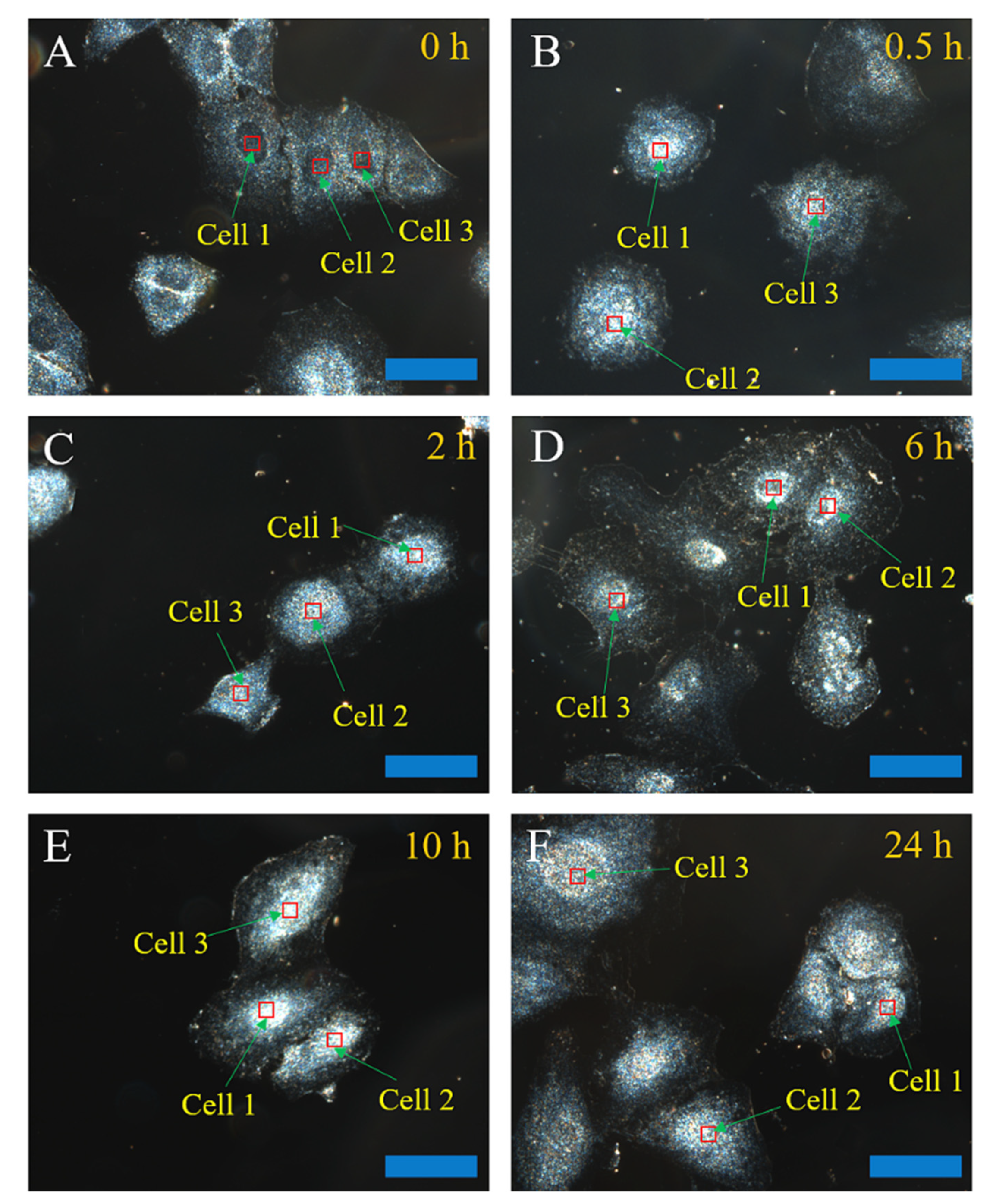 Molecules 27 02437 g002 Molecules 27 02437 g002