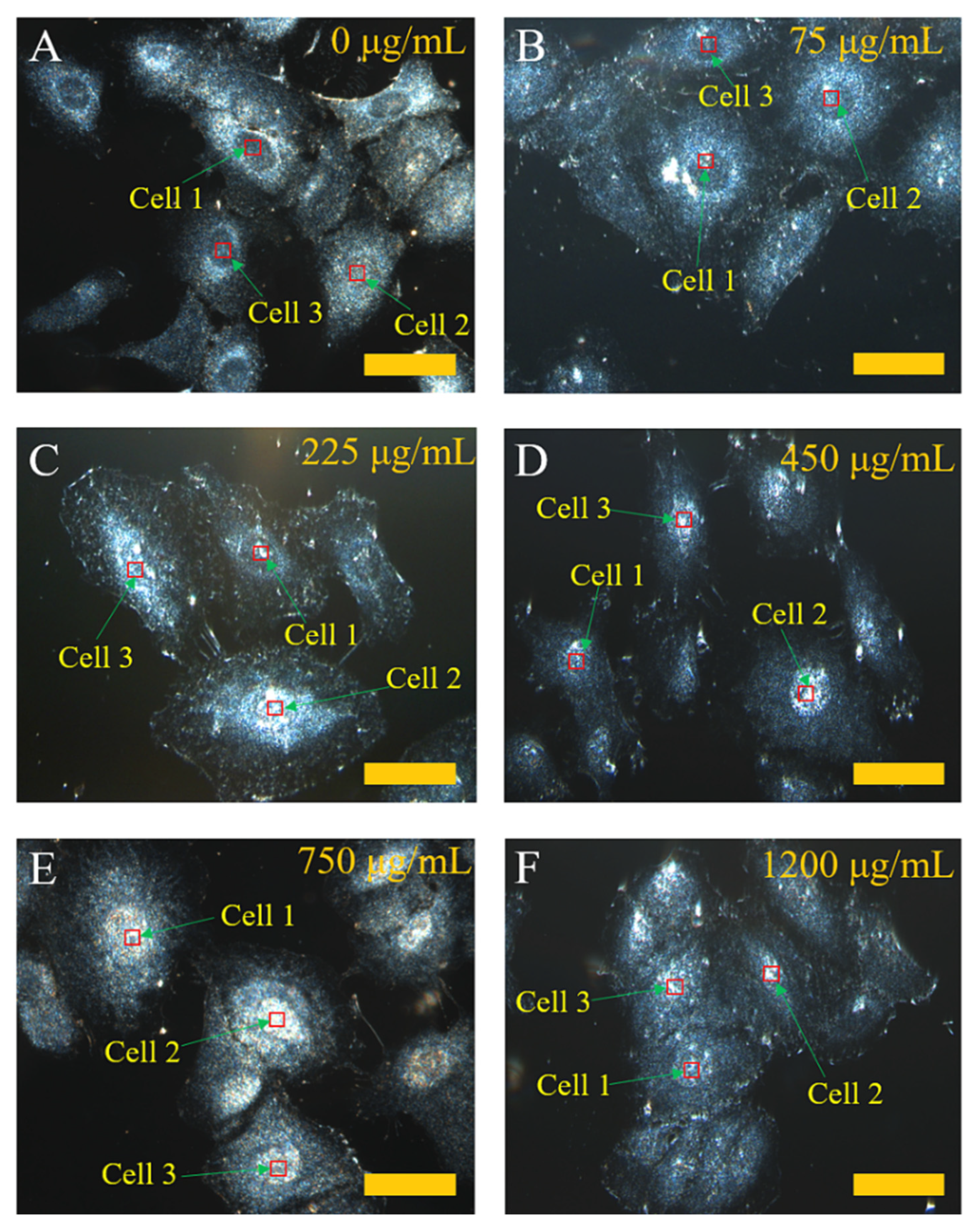 Molecules 27 02437 g005 Molecules 27 02437 g005