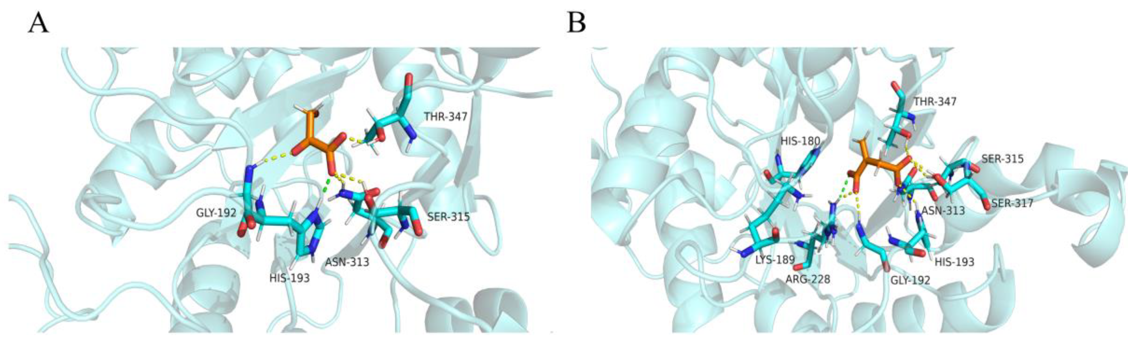 Molecules 27 02447 g002 550