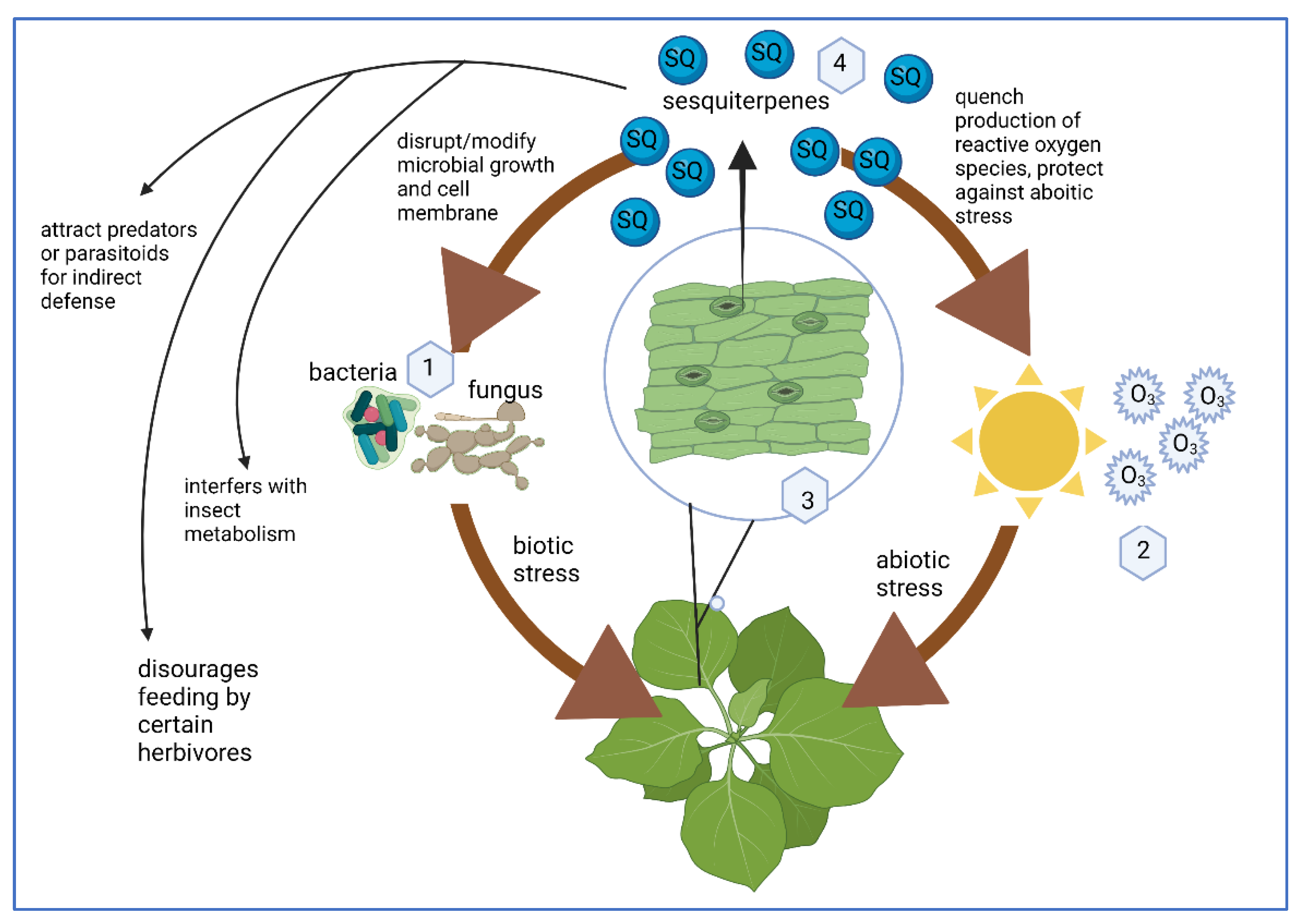 Molecules 27 02450 g001
